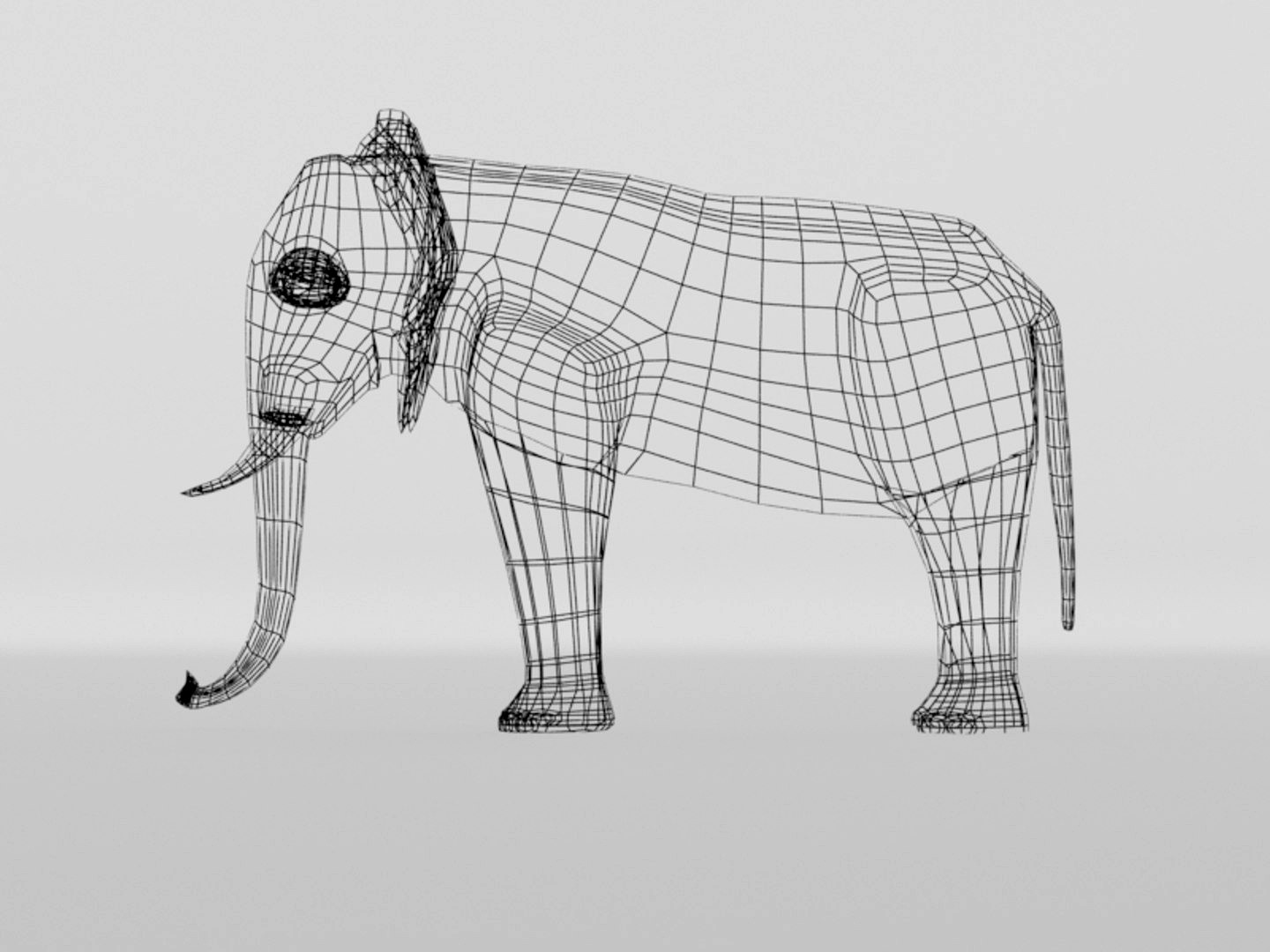 elephant