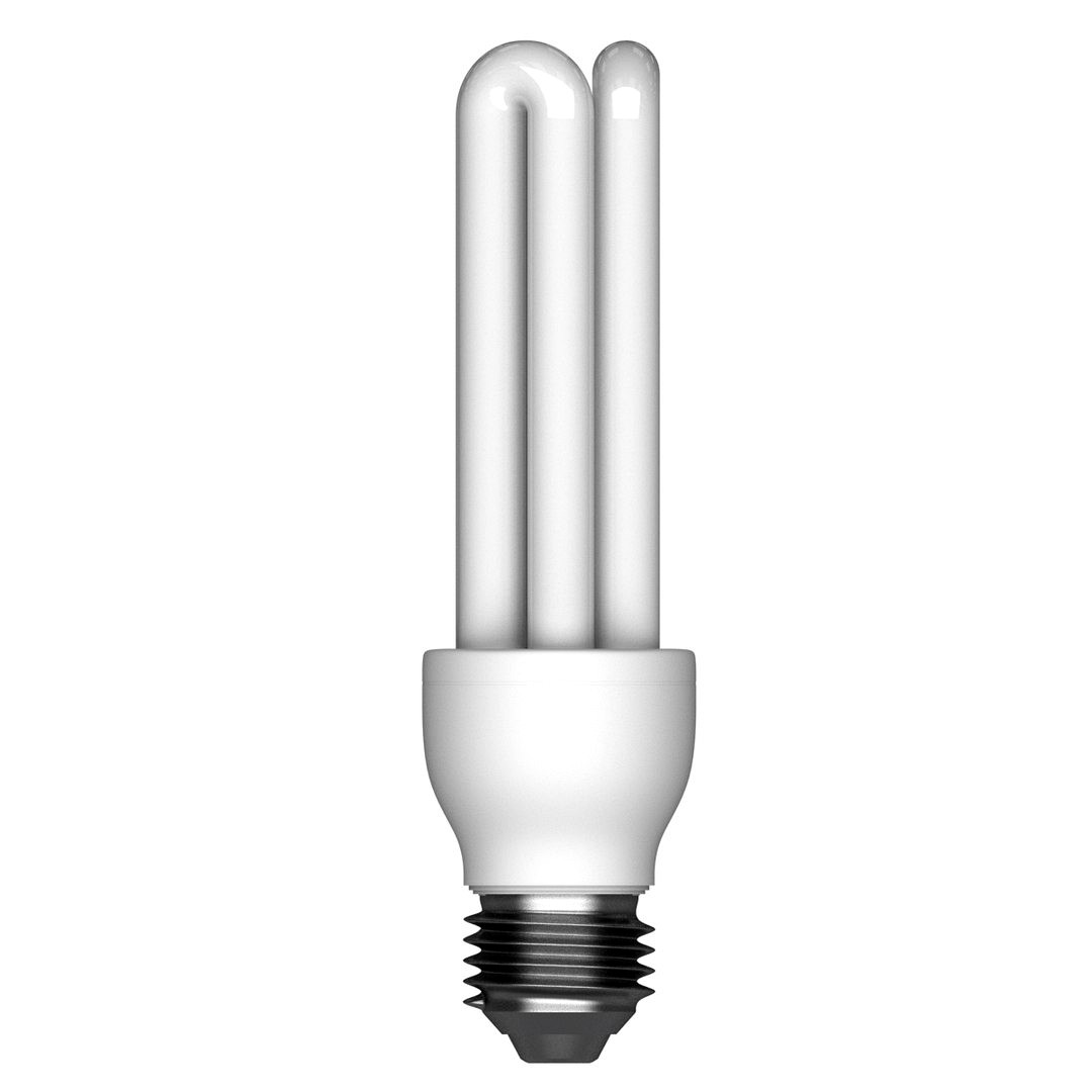 Fluorescent Bulb