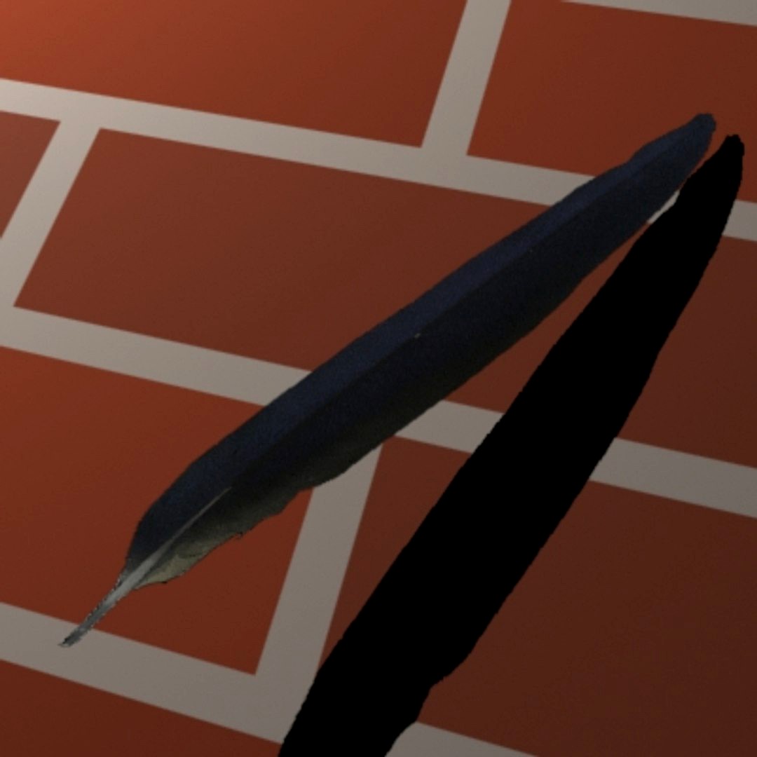 feather