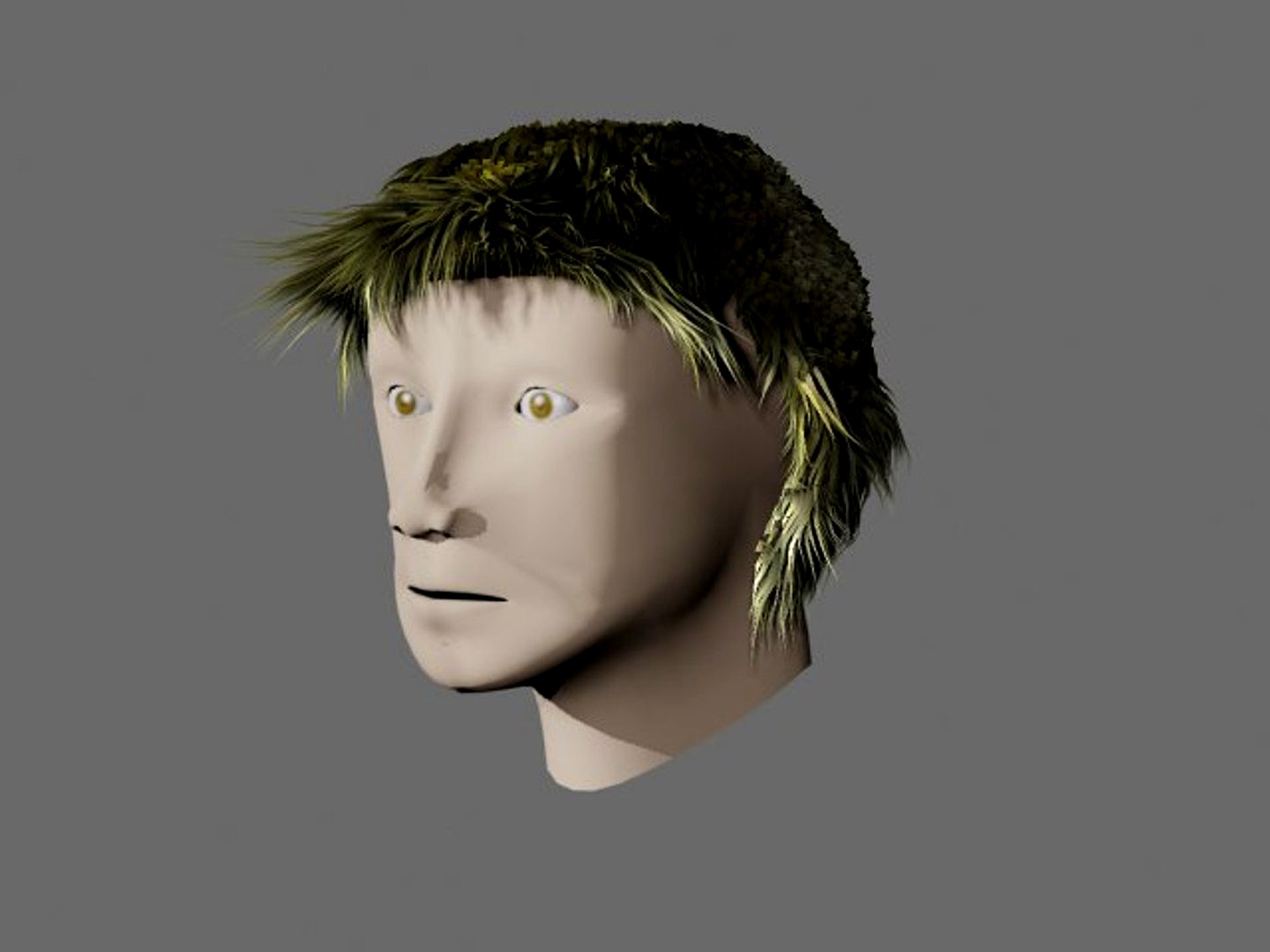 Head