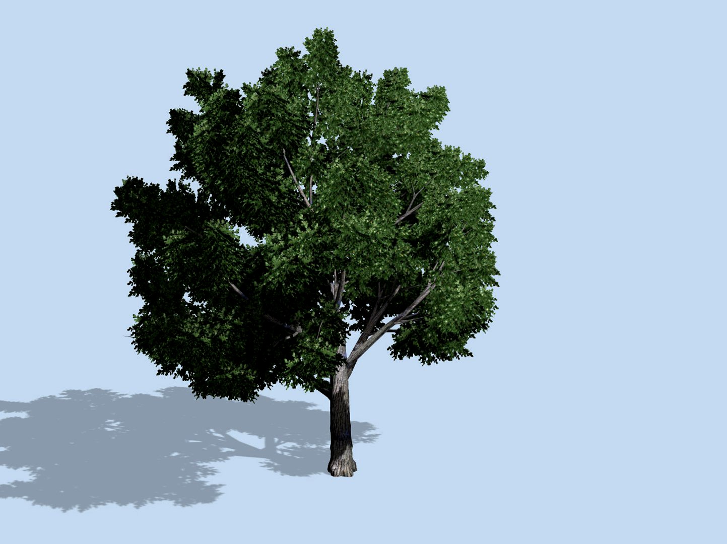 Tree Pack