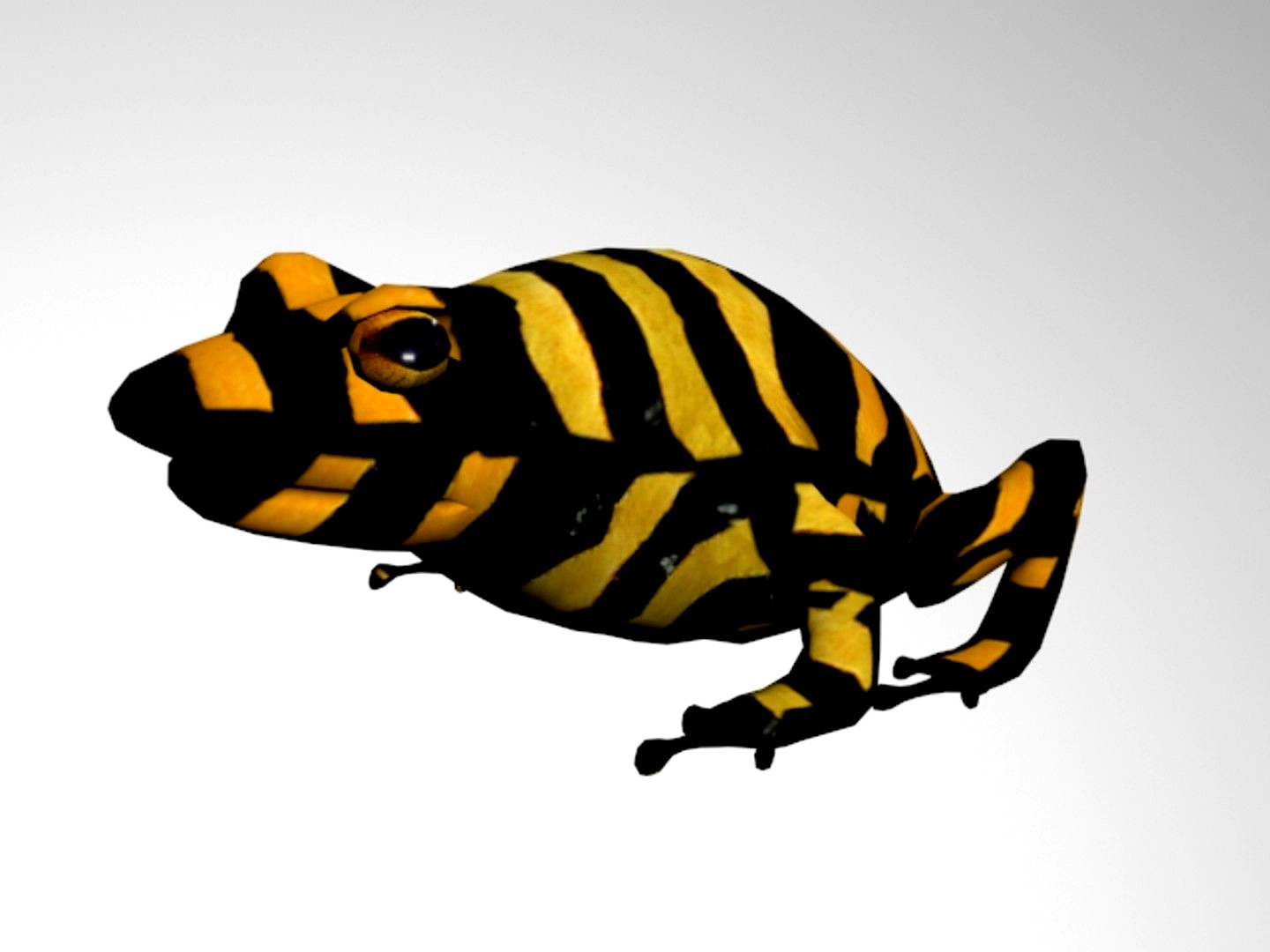 Poison Dart Frog