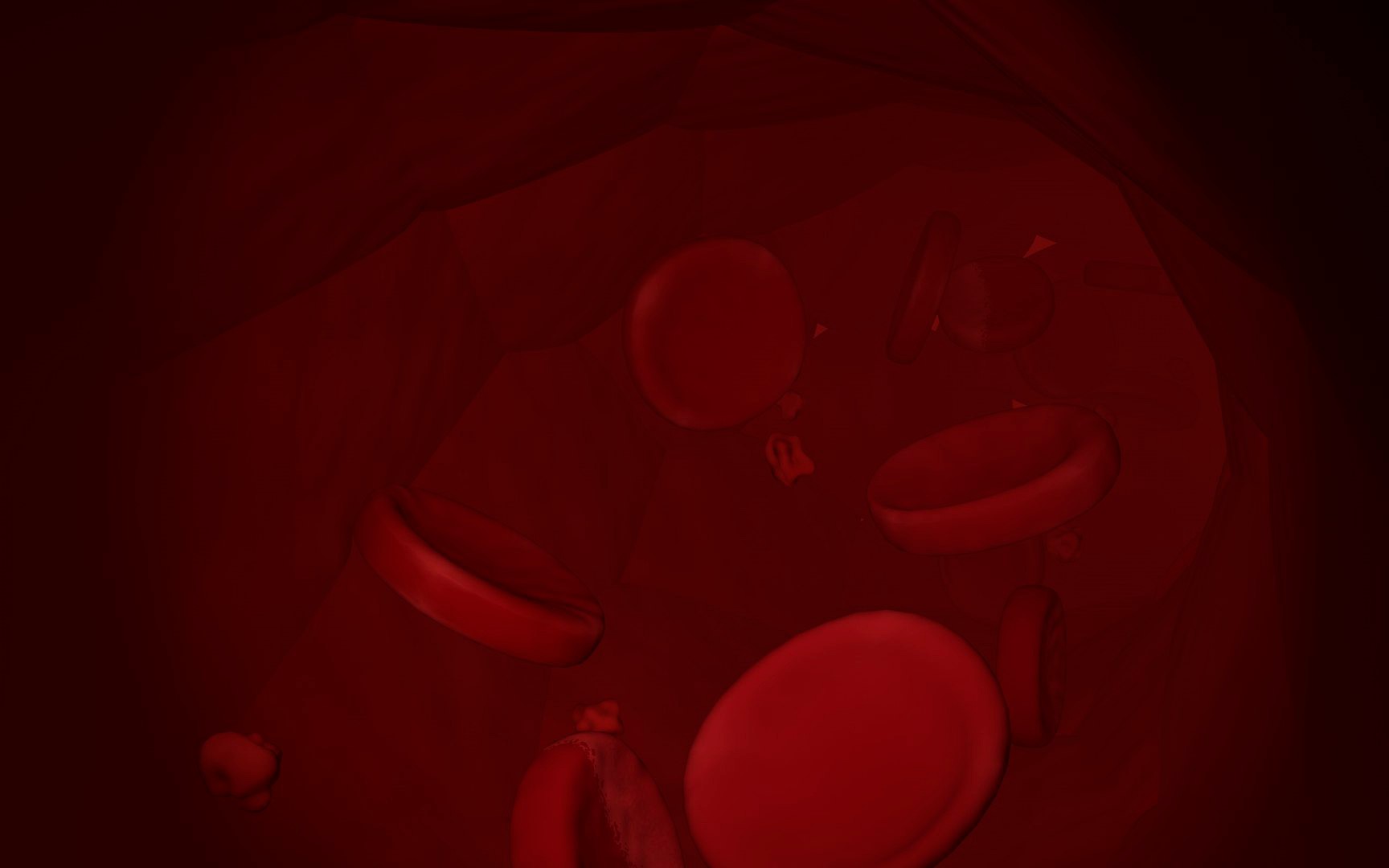 Erythrocytes (Red Blood Cells)