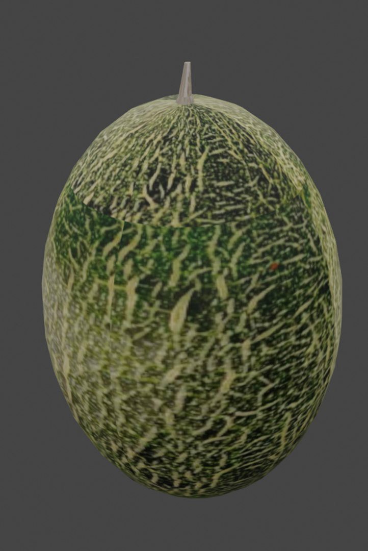 Melon