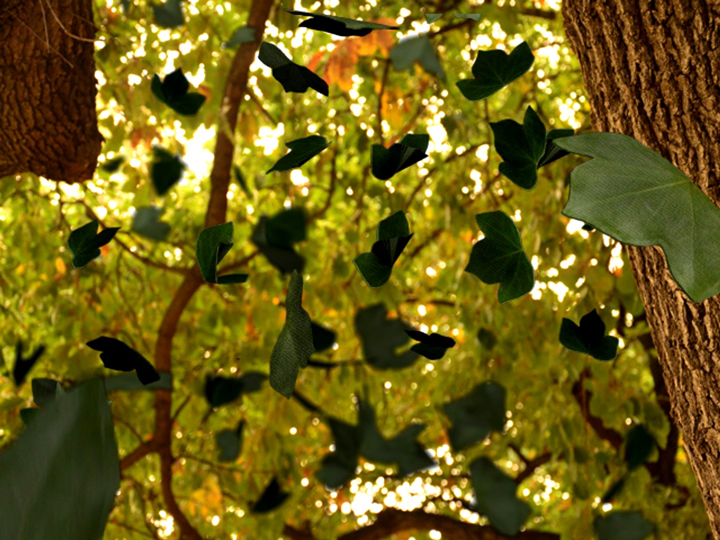 leaf creeper