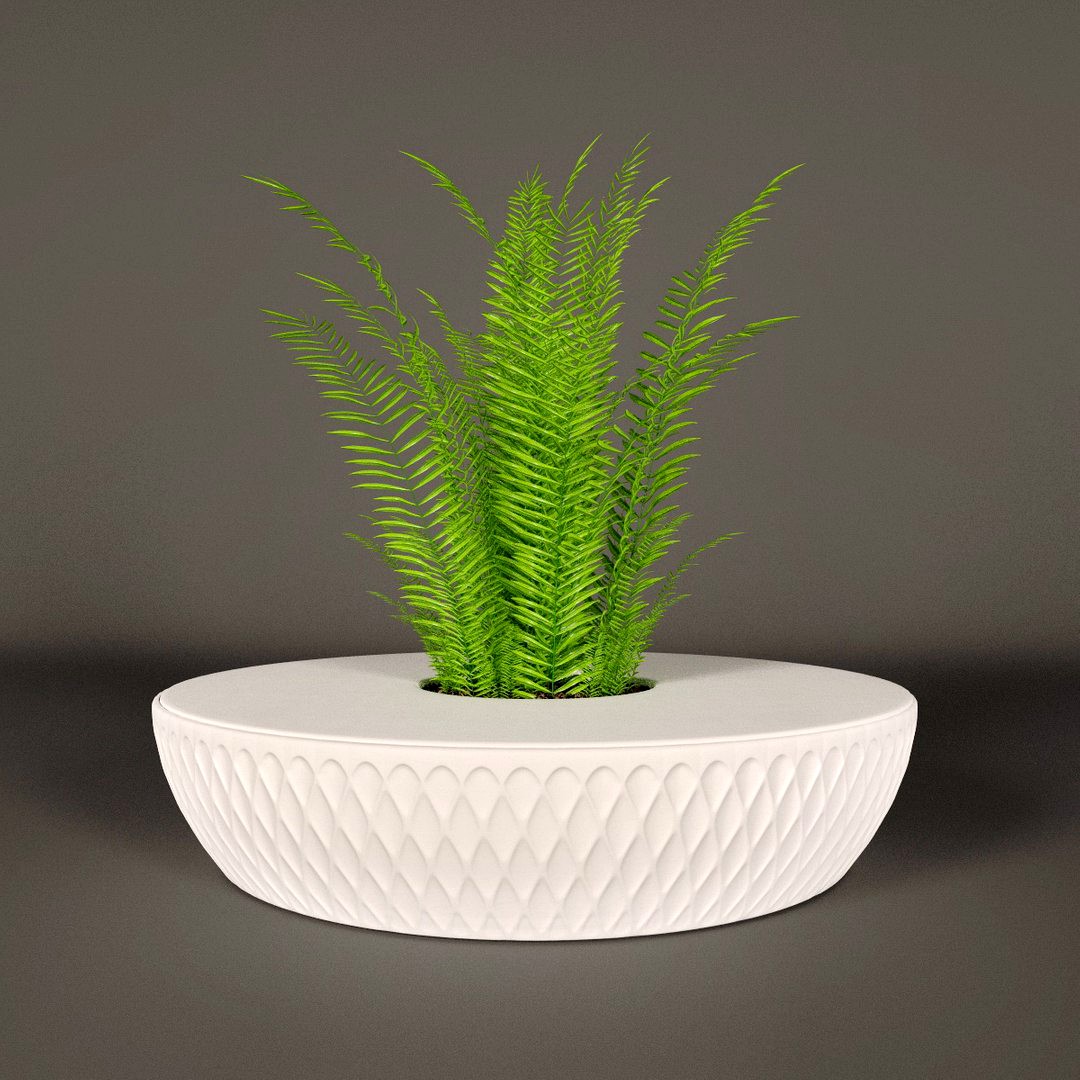 Plant planted in the bench