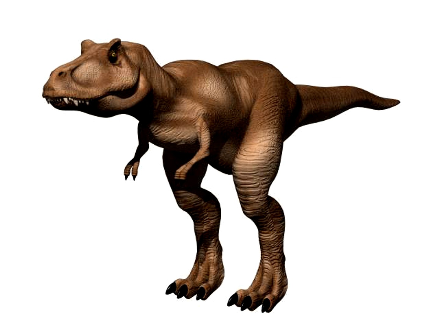 Trex ver 3.0  final