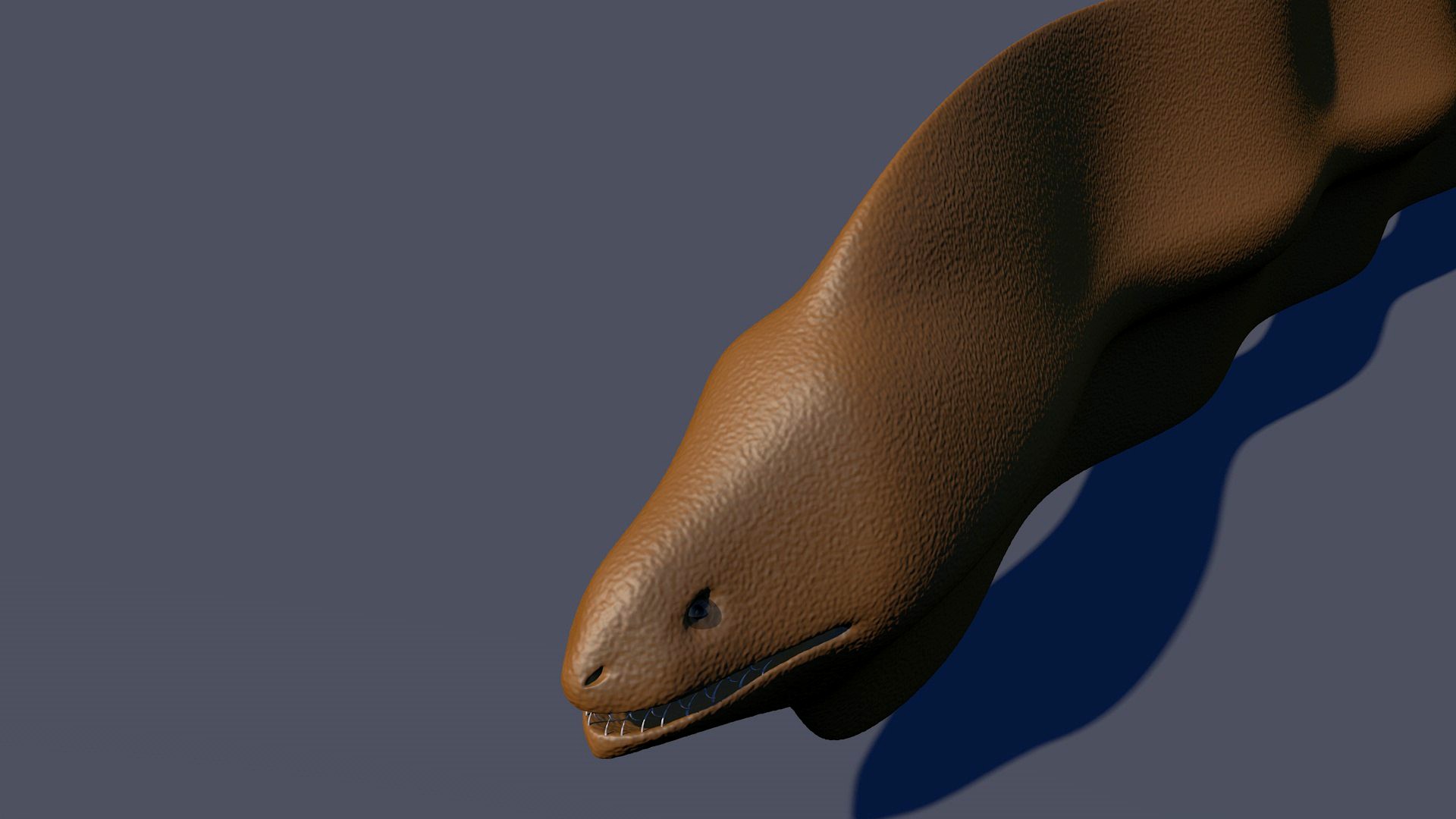 moray eel
