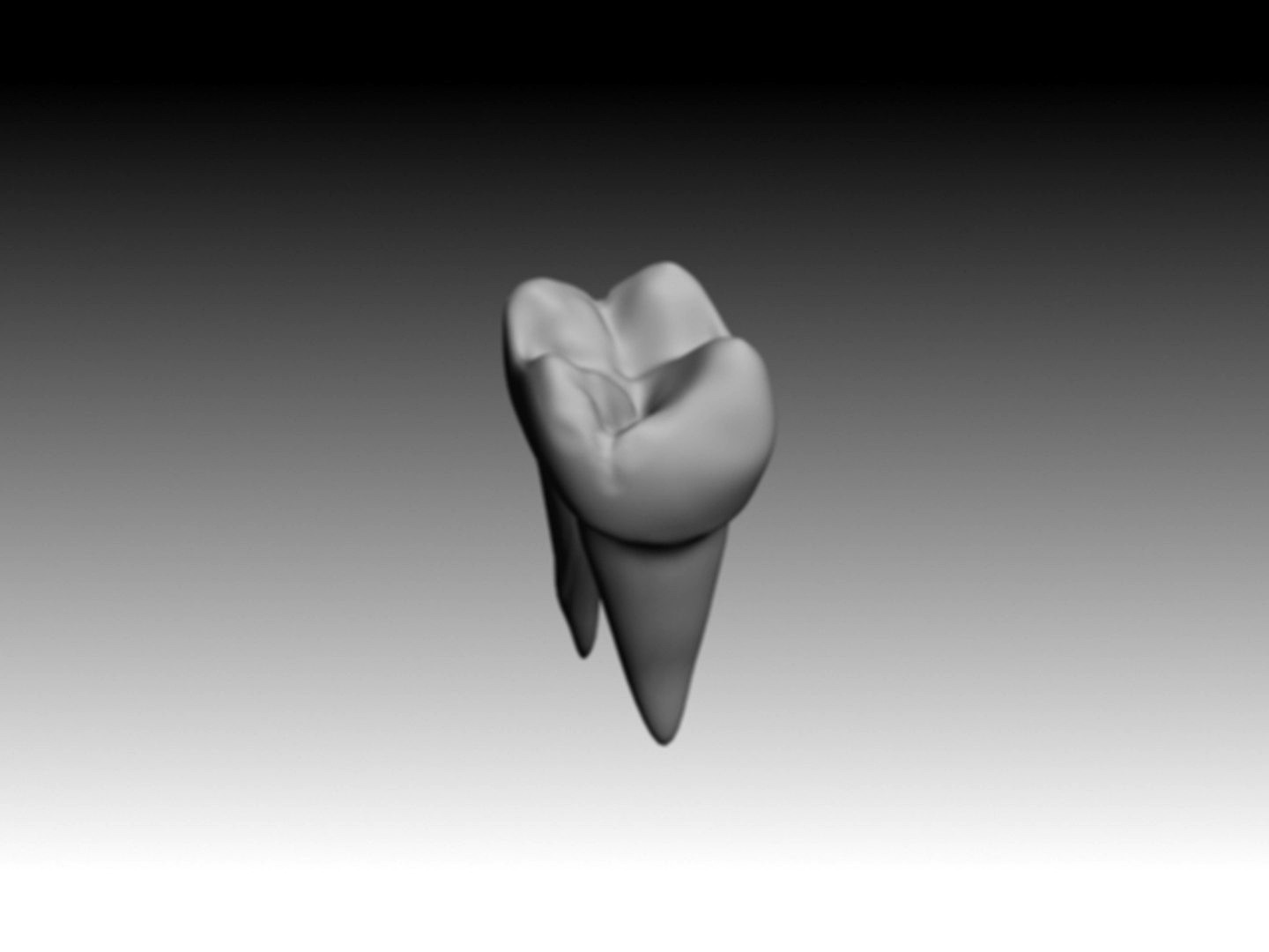 first molar maxilar.3DS