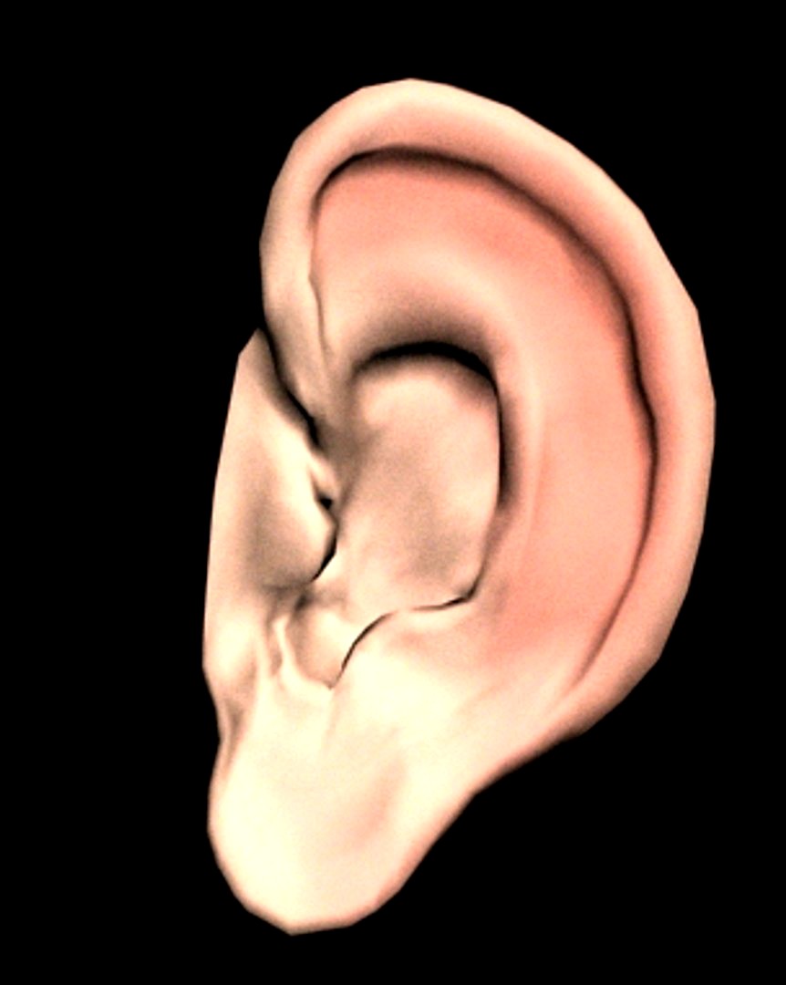 ear
