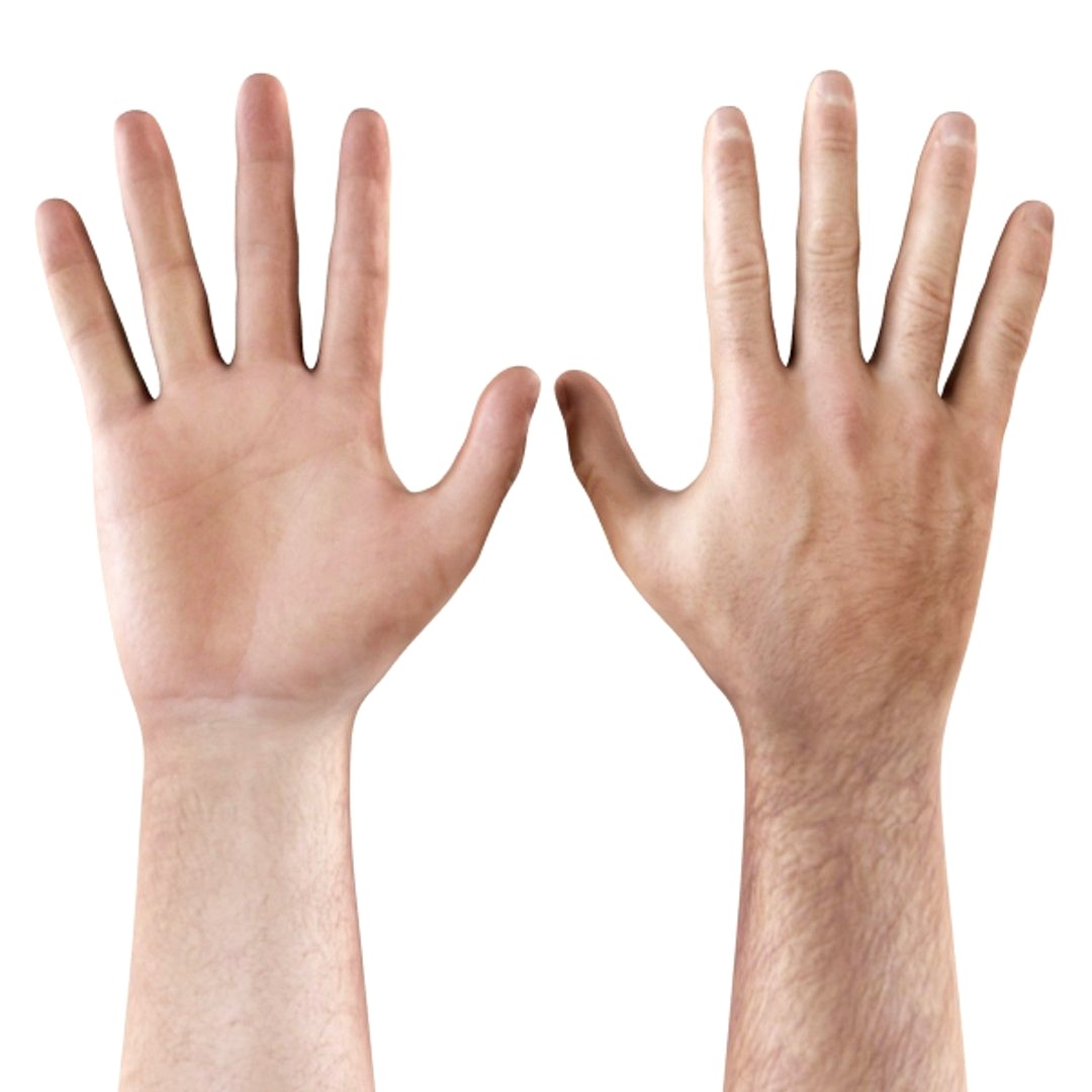 Hand