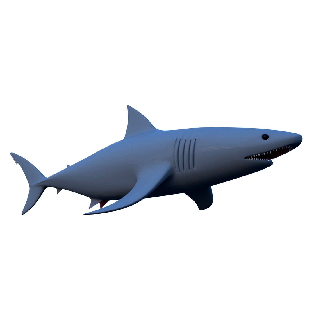 shark
