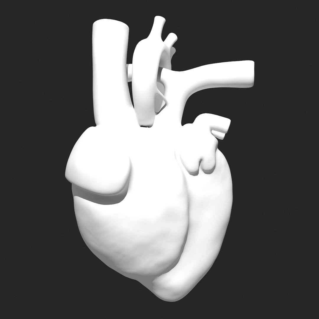 heart