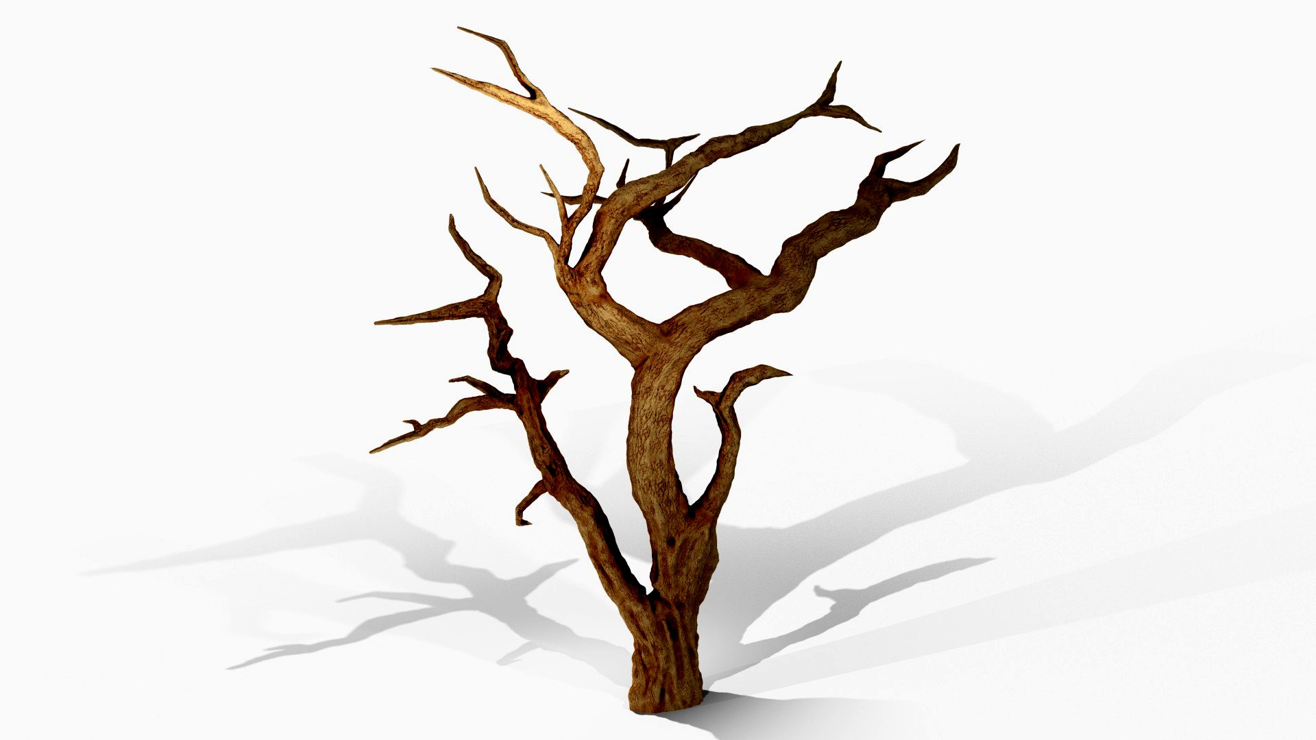 Spooky Acacia Tree (Animated)