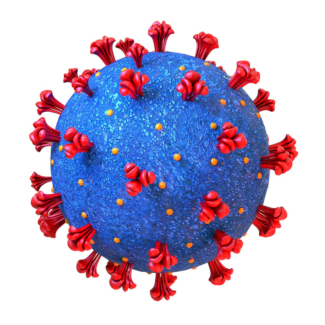 Coronavirus COVID 19