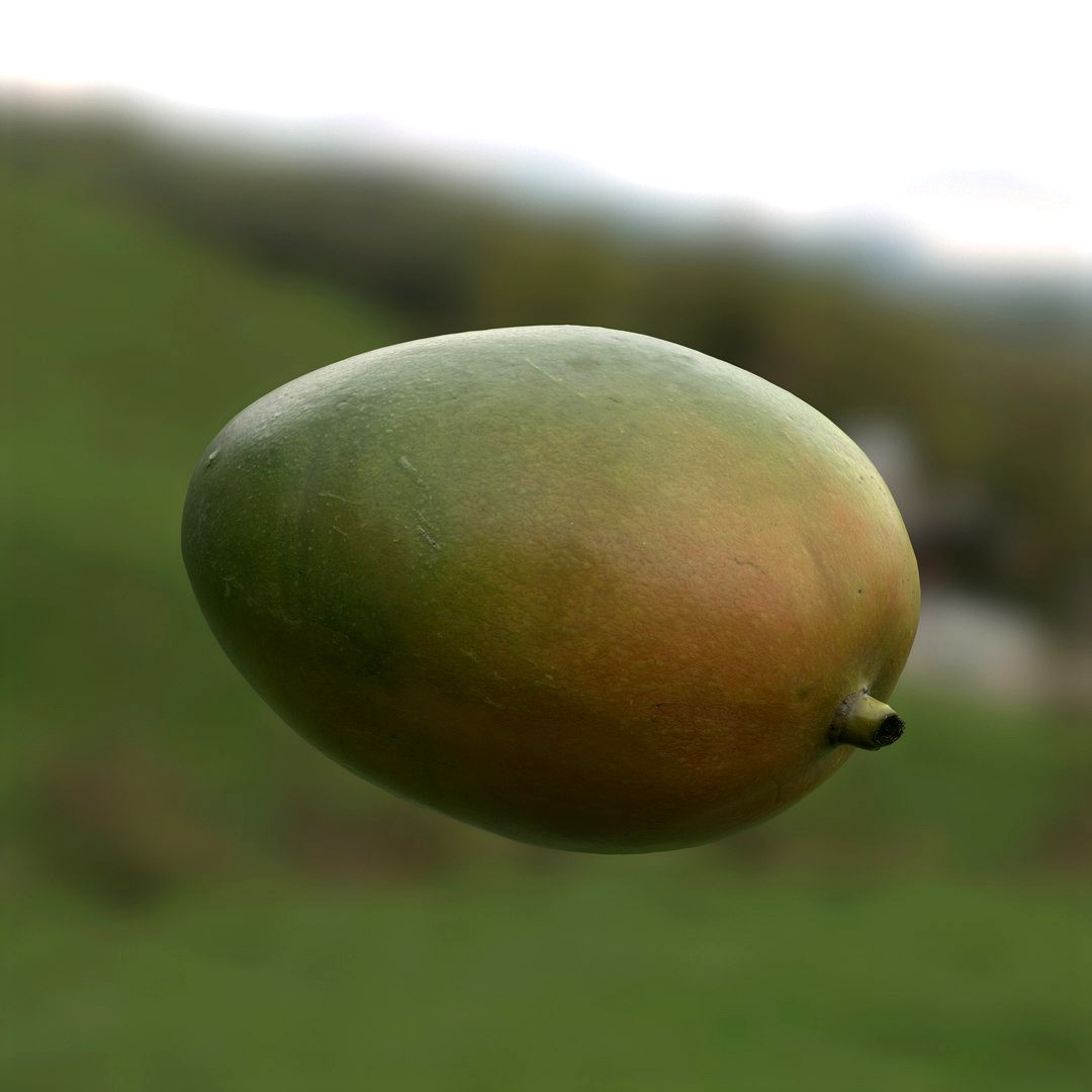 Mango