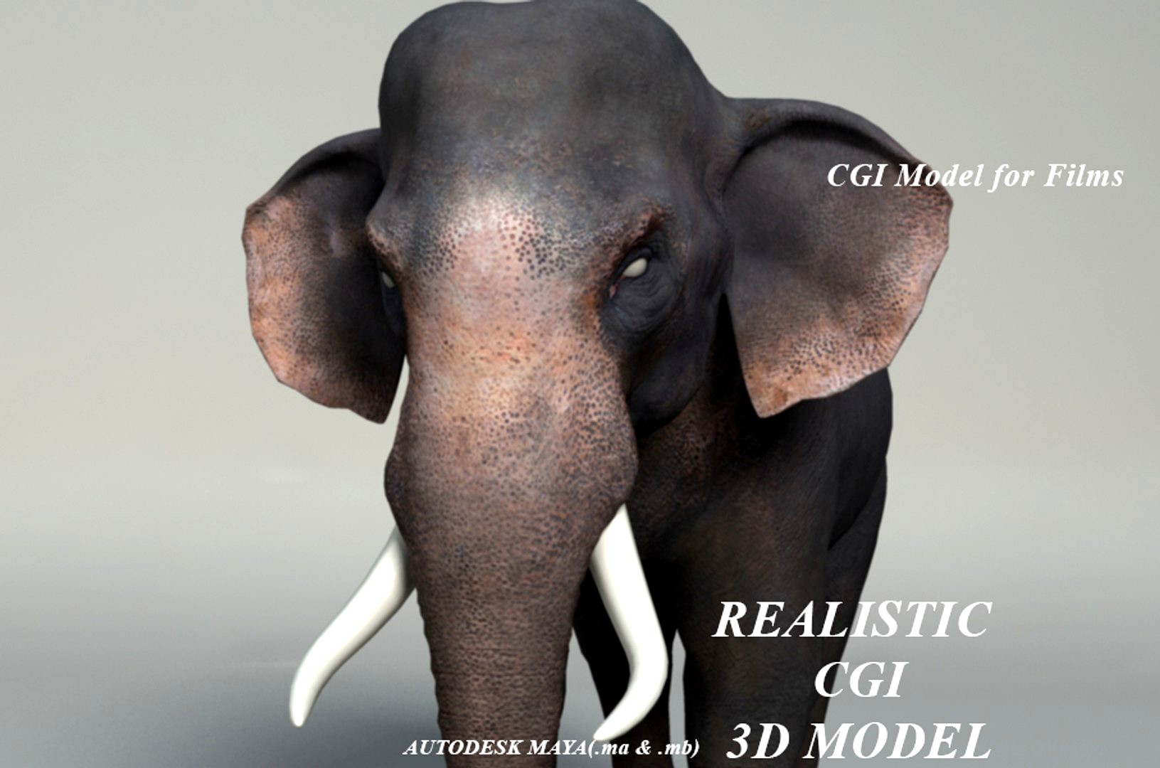 CGI Elephant model