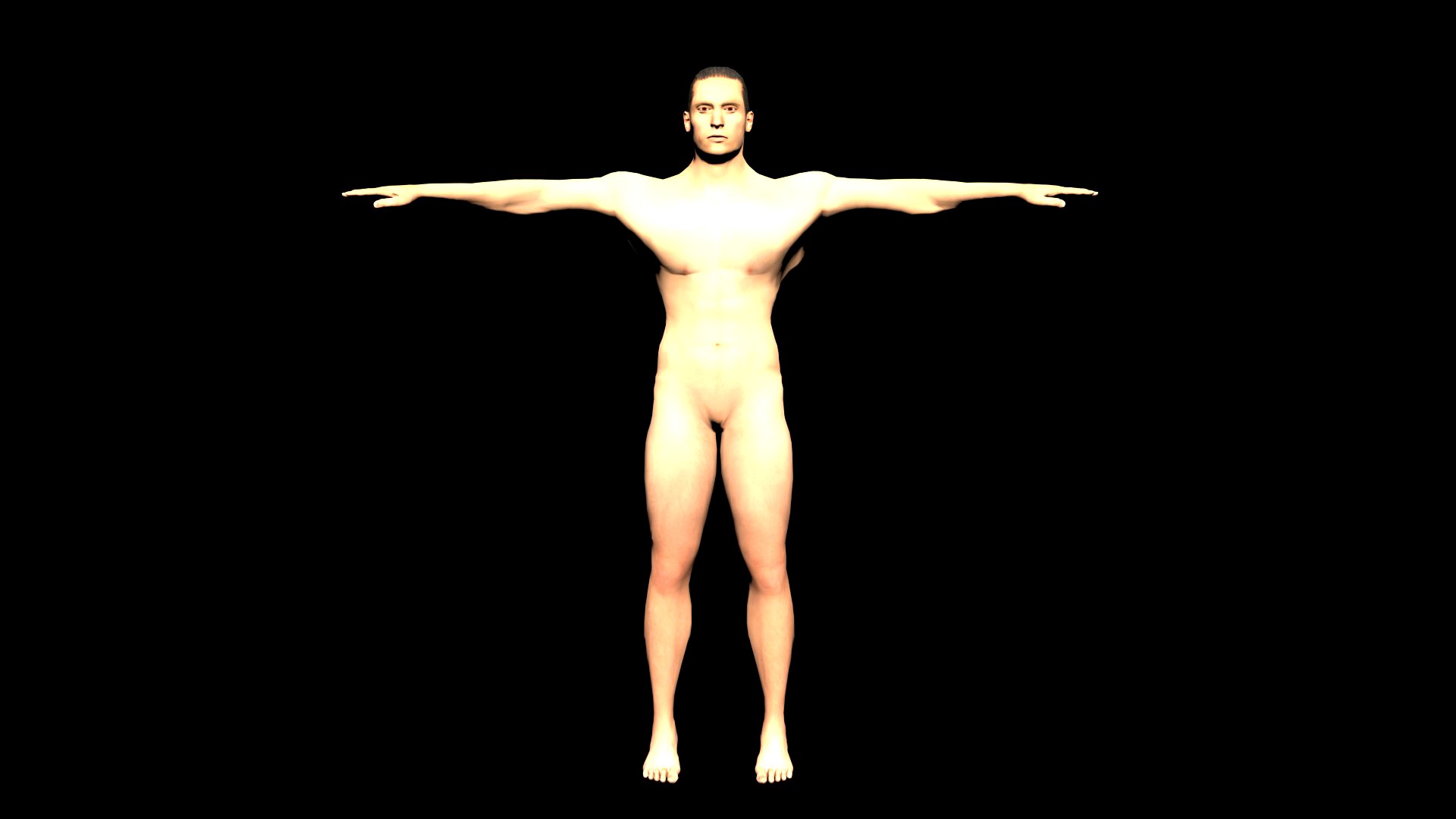 Muscular Male For Game