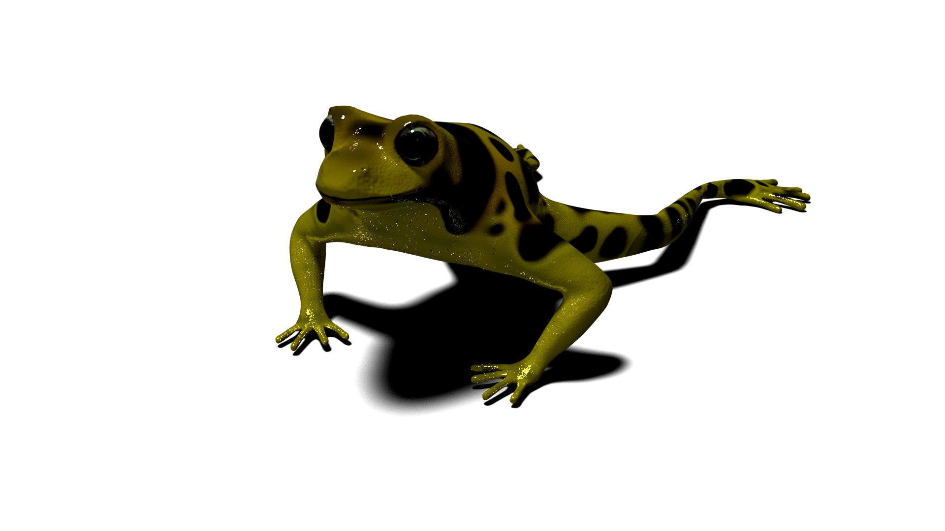 Frog