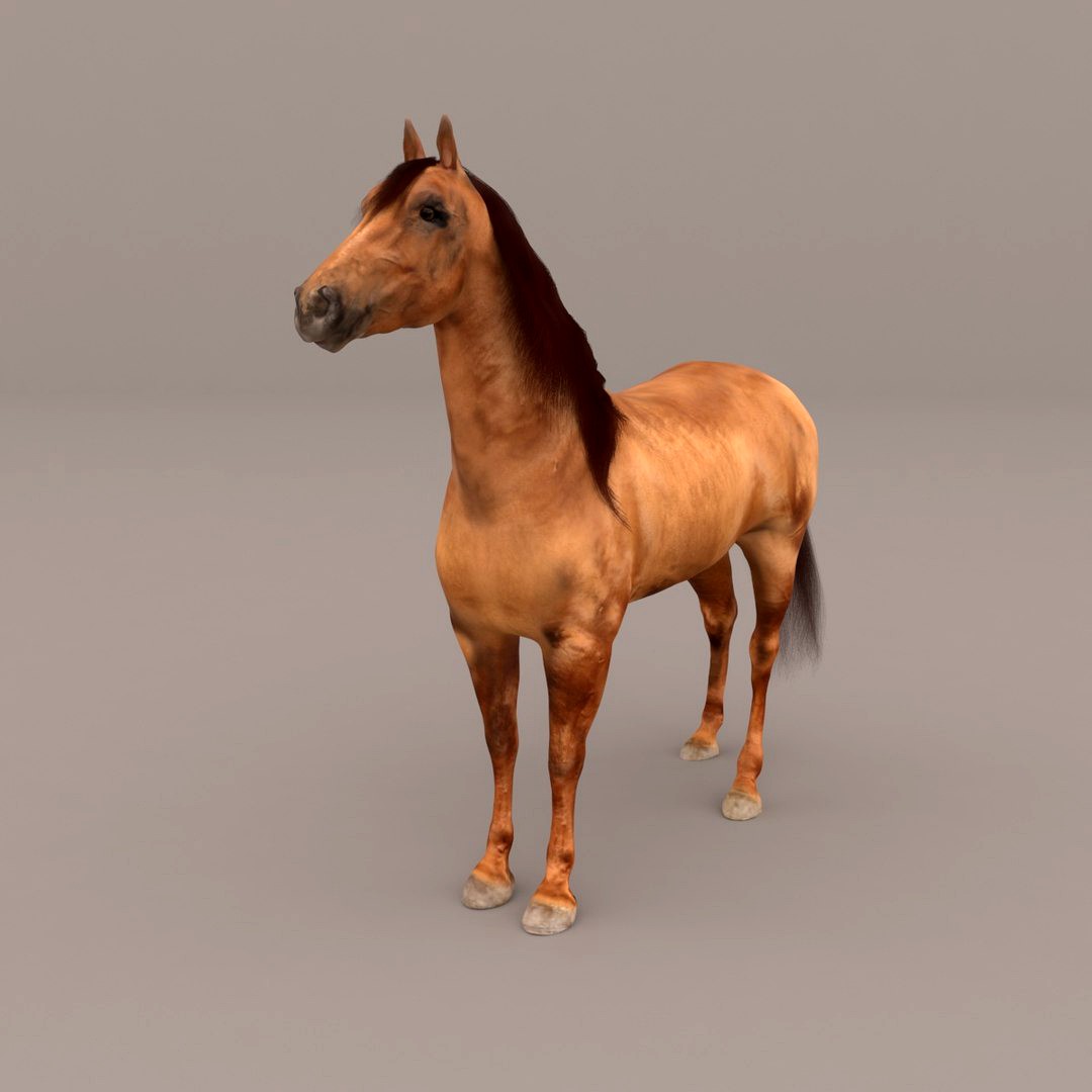 Horse Don Dun Roan (Fur)