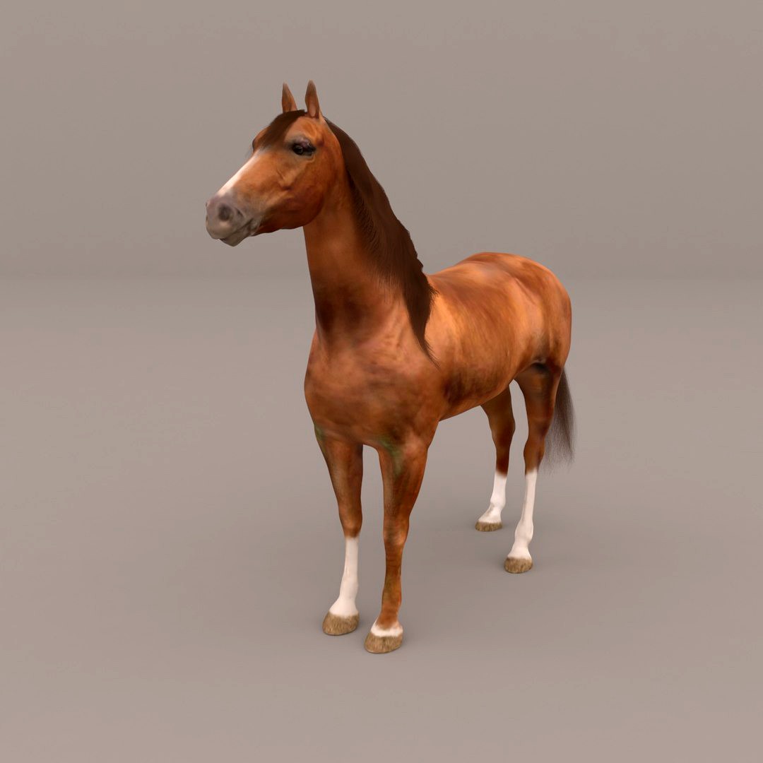 Horse Don Chestnut (Fur)