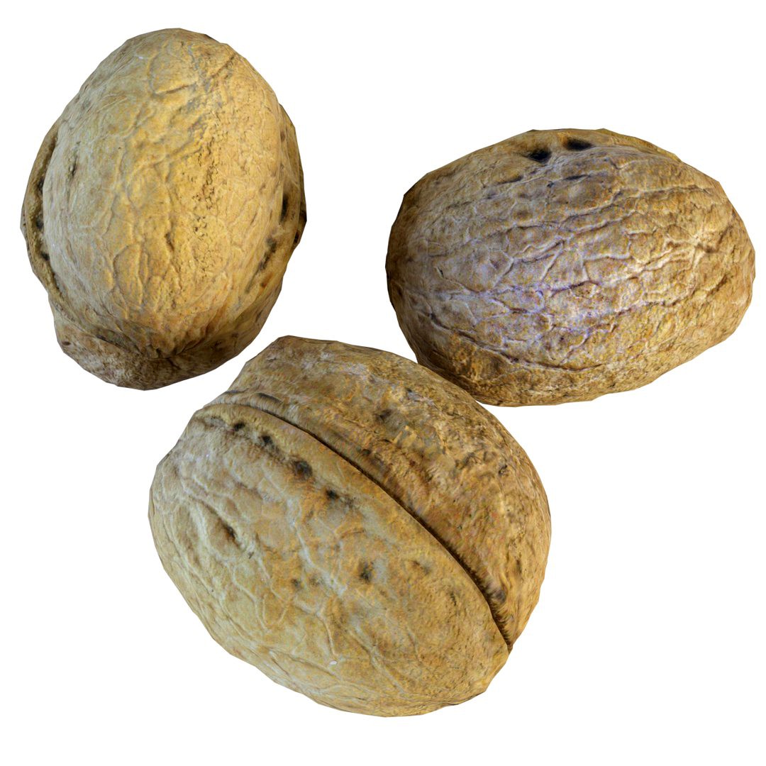 Walnut