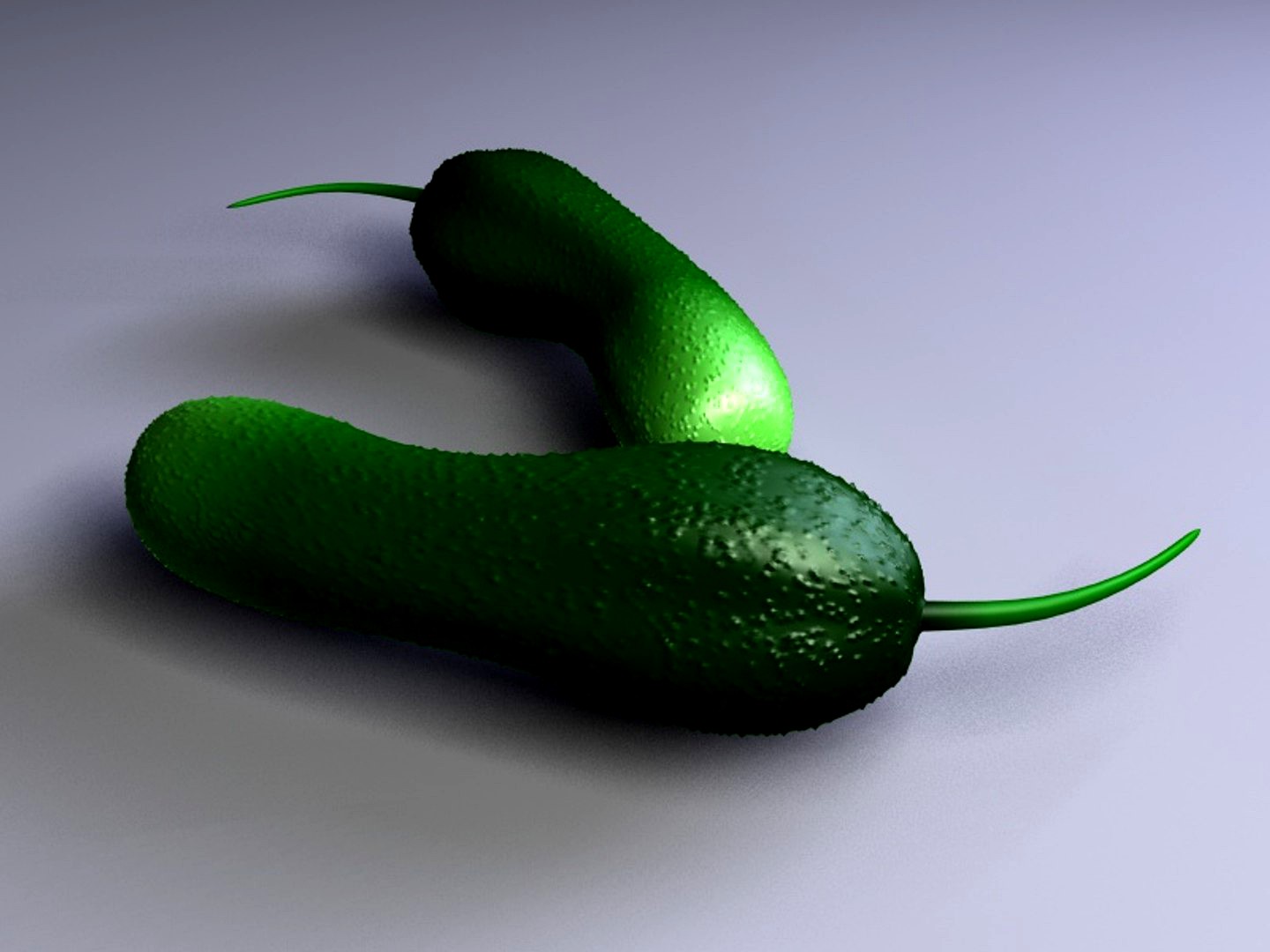 Cucumber model
