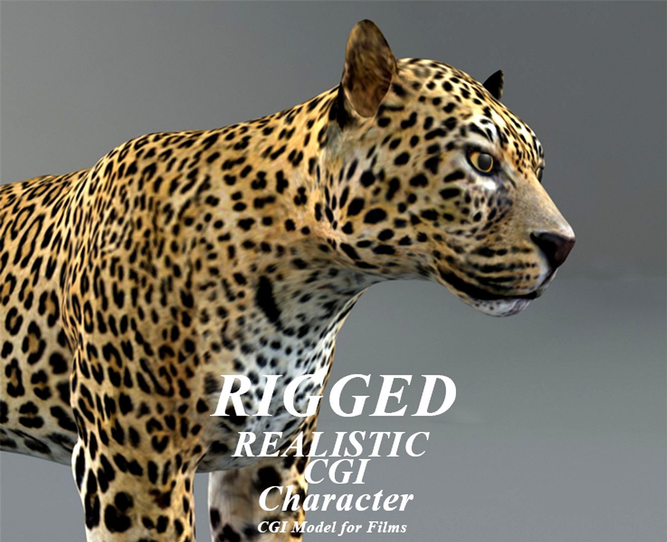 leopard (rigged)