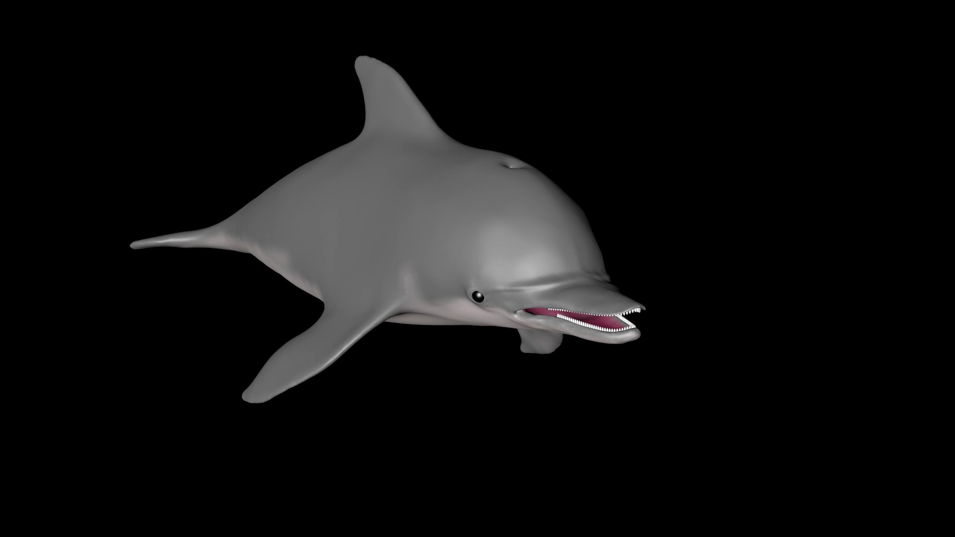 Dolphin