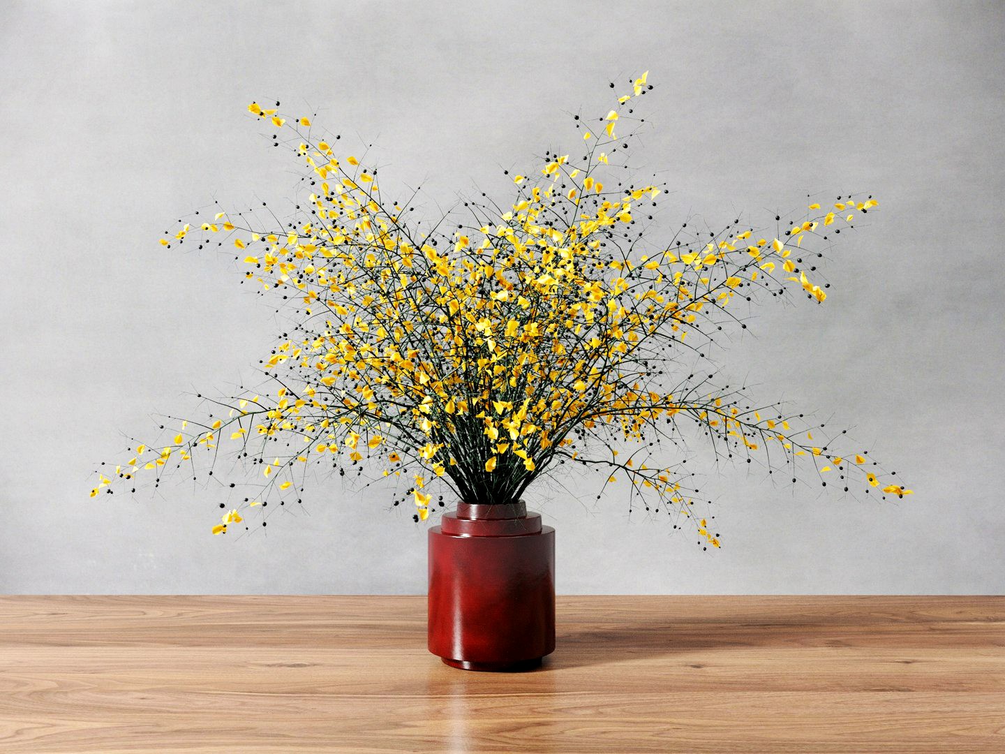 Yellow Stick Plant