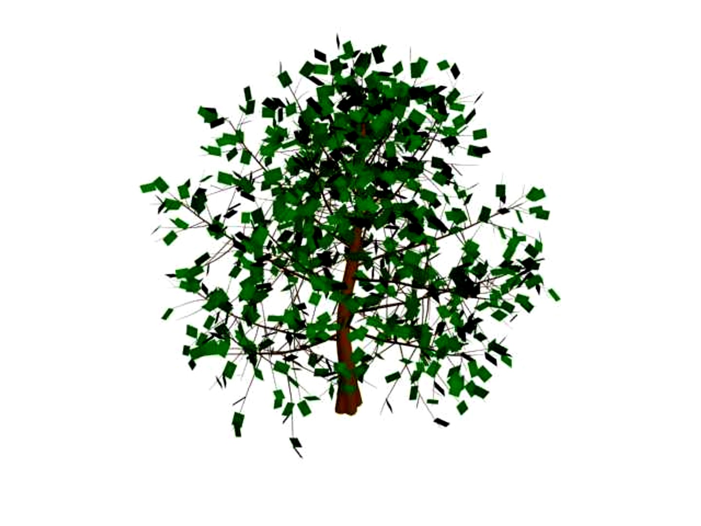 tree2