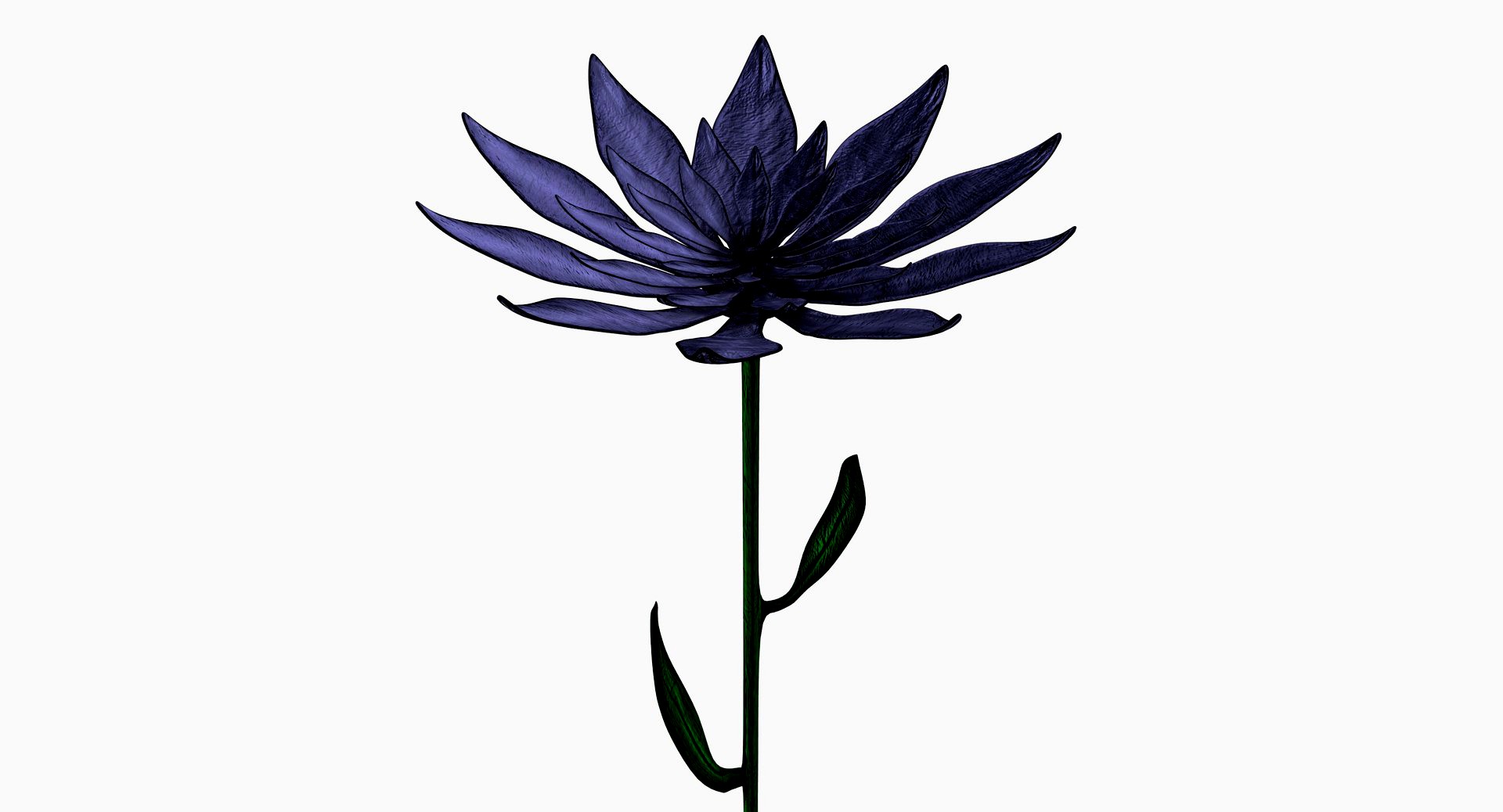 The Dark Flower