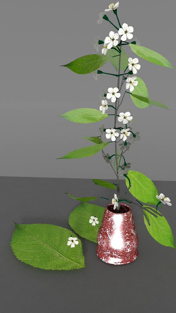 cherry branch flowers