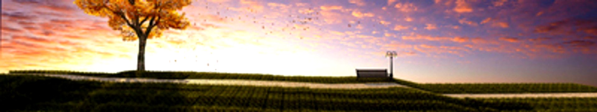 Landscape, tree, falling leaves, autumn, bench