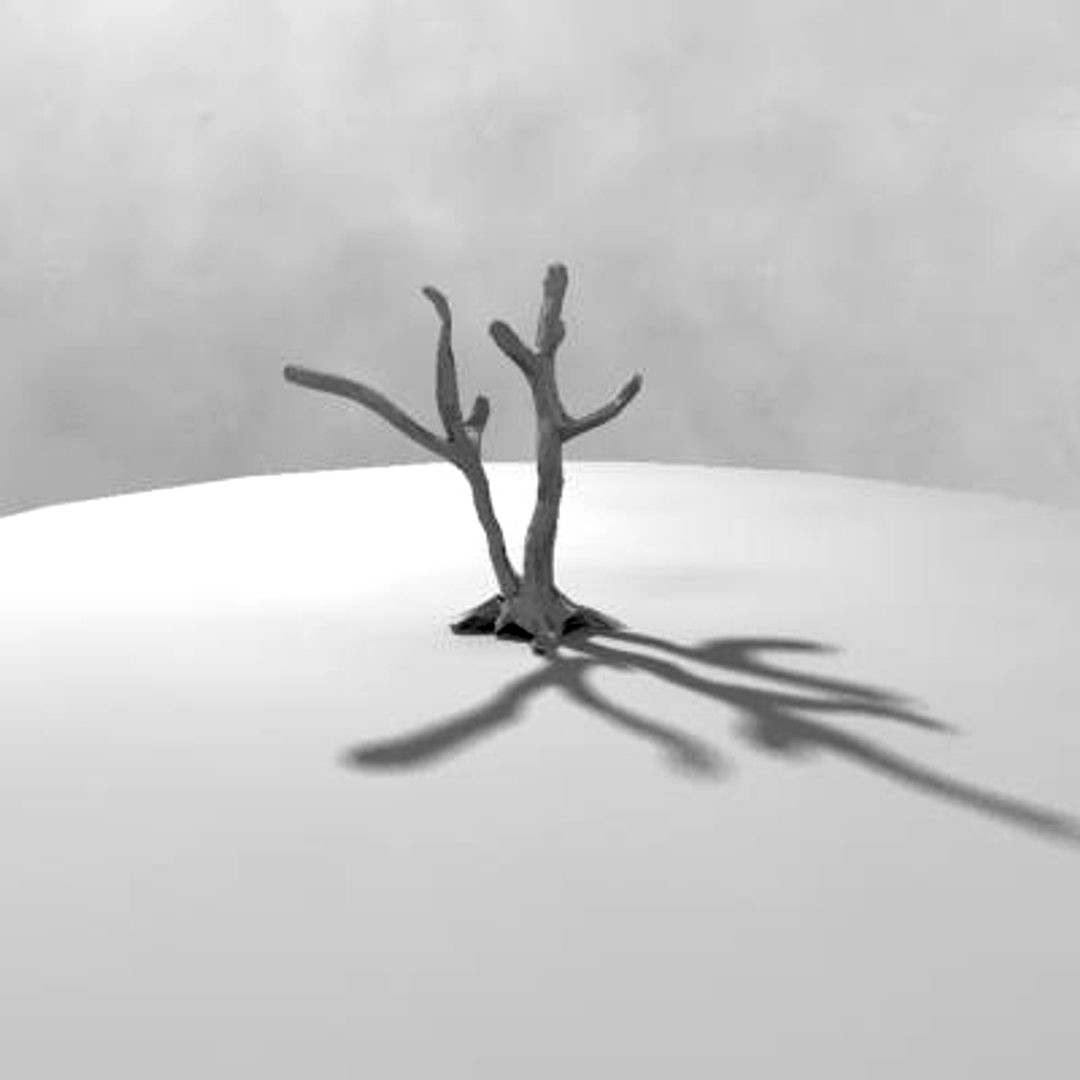 Nut Tree