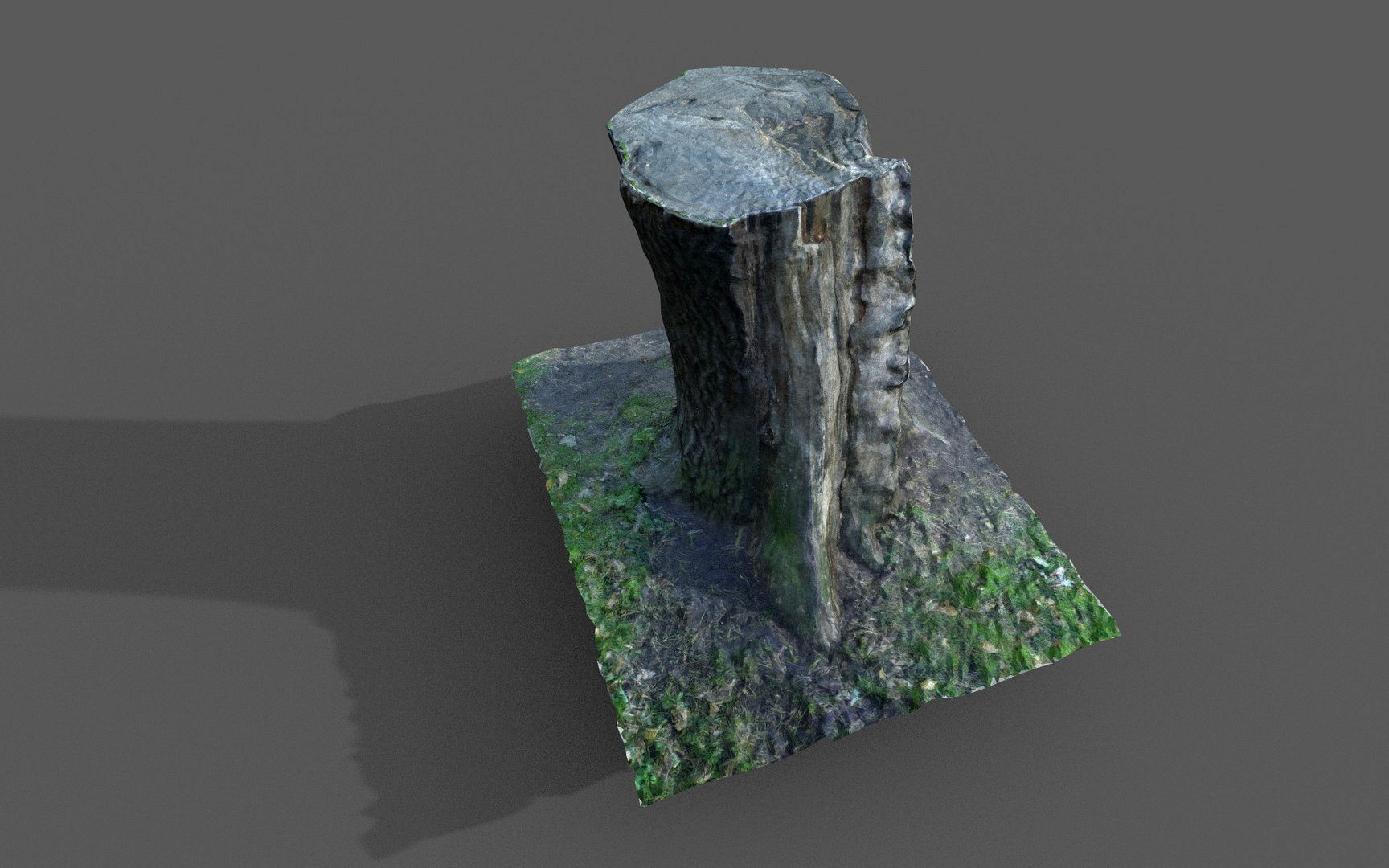 tree stump