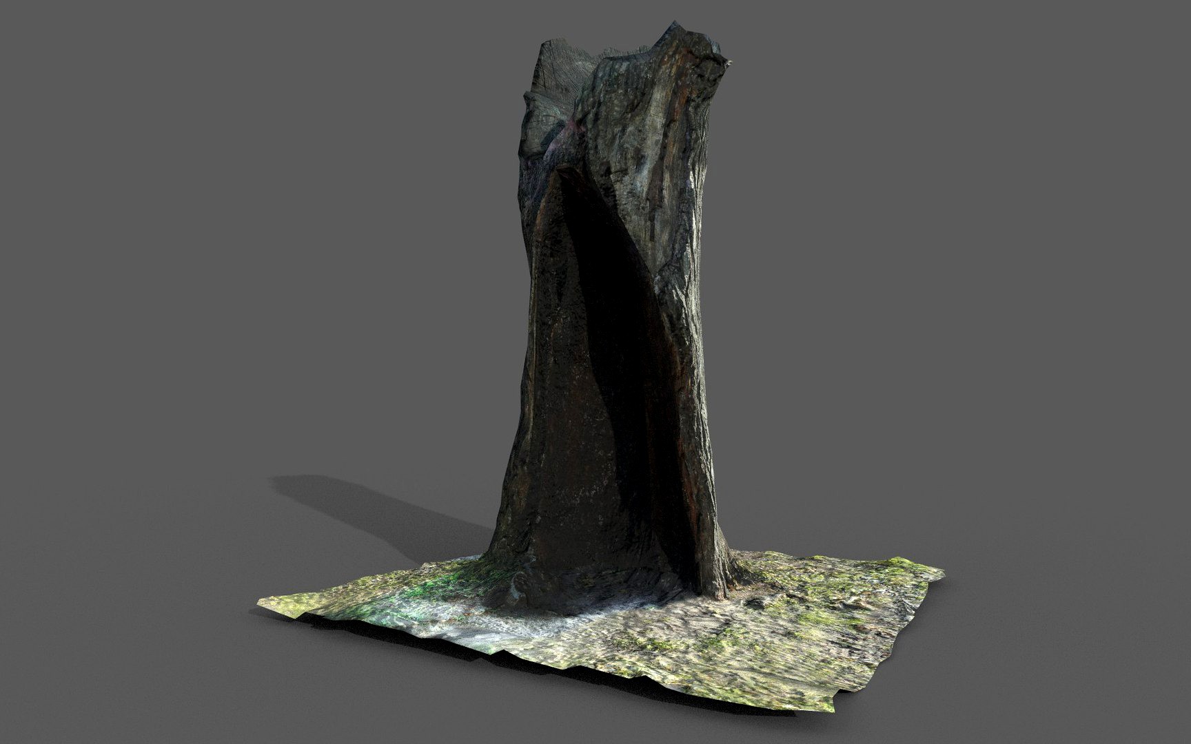 wood stump