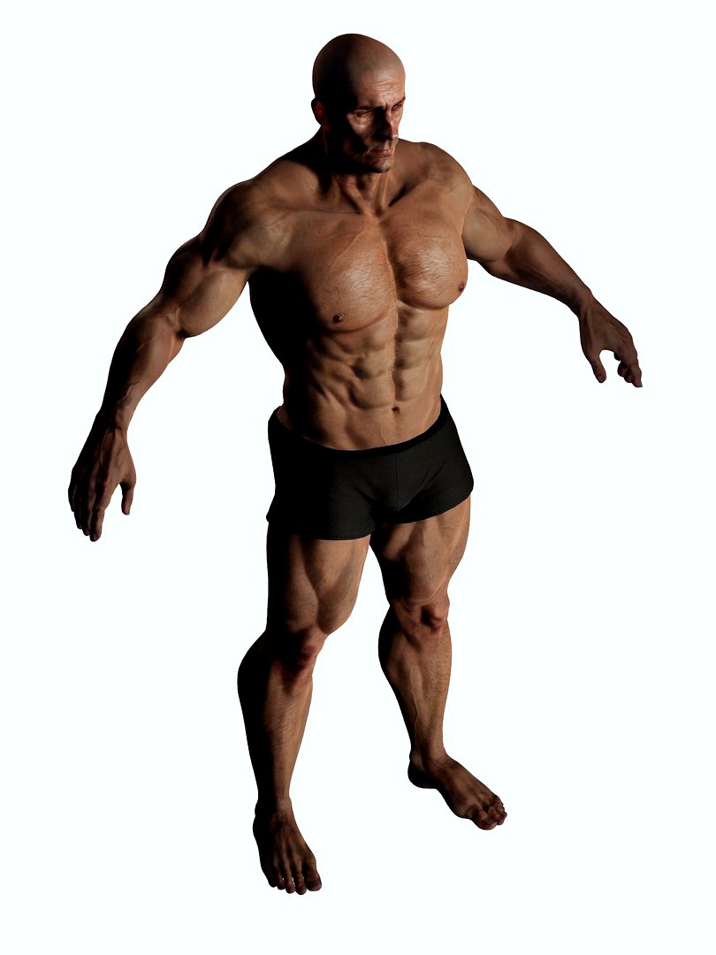 The Strong Man Model 3D