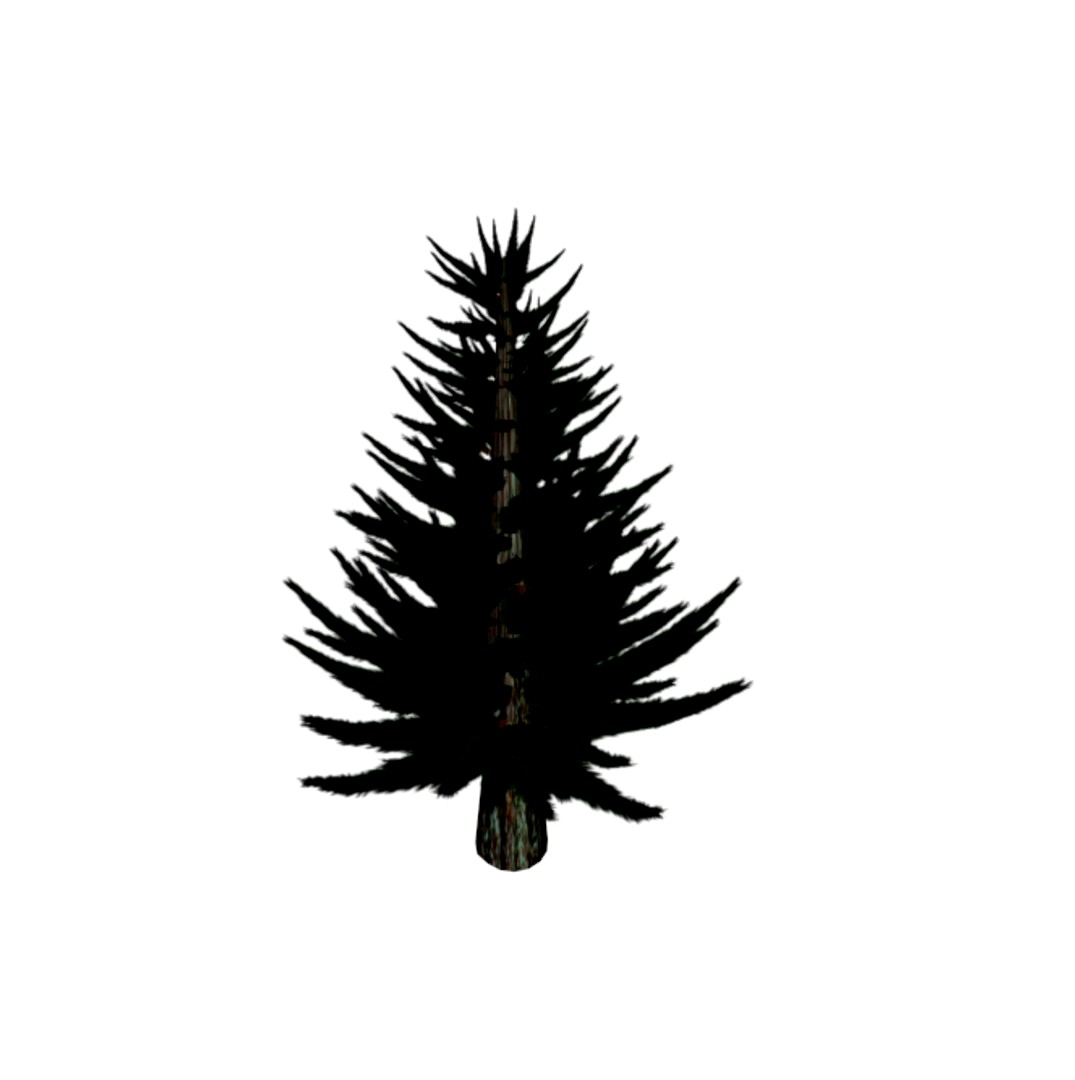 Pine Tree