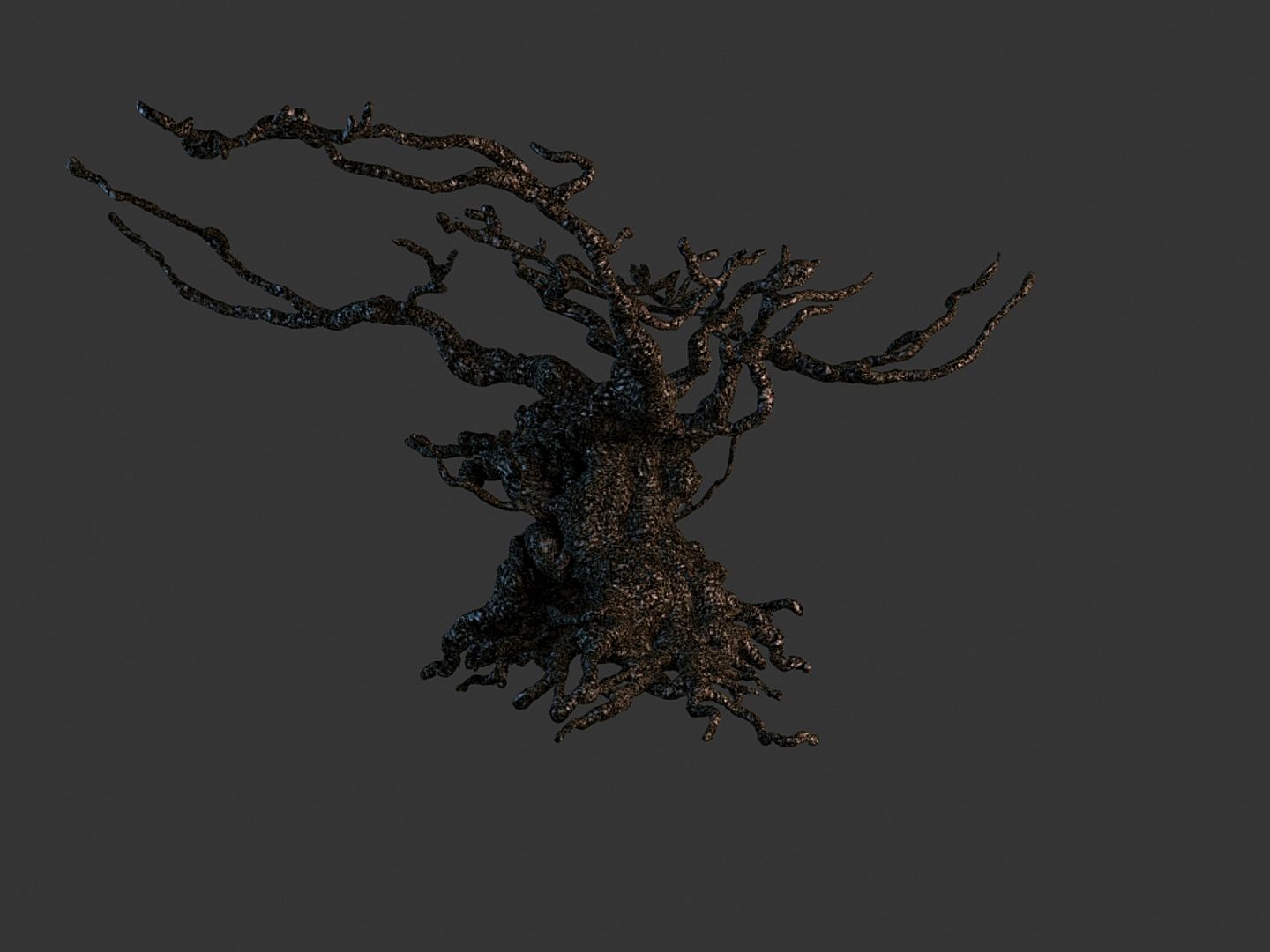 gnarled tree