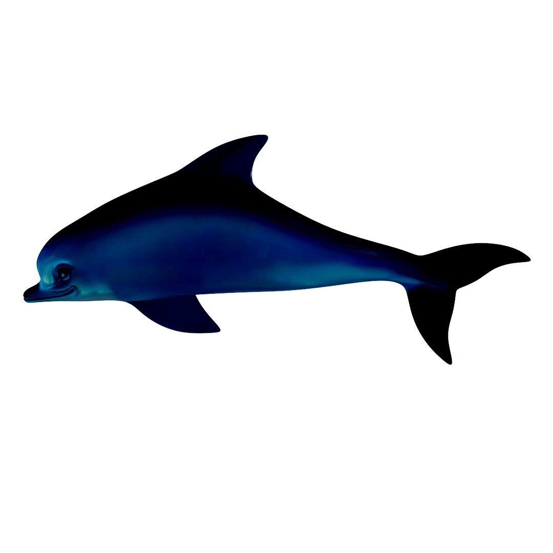 Dolphin