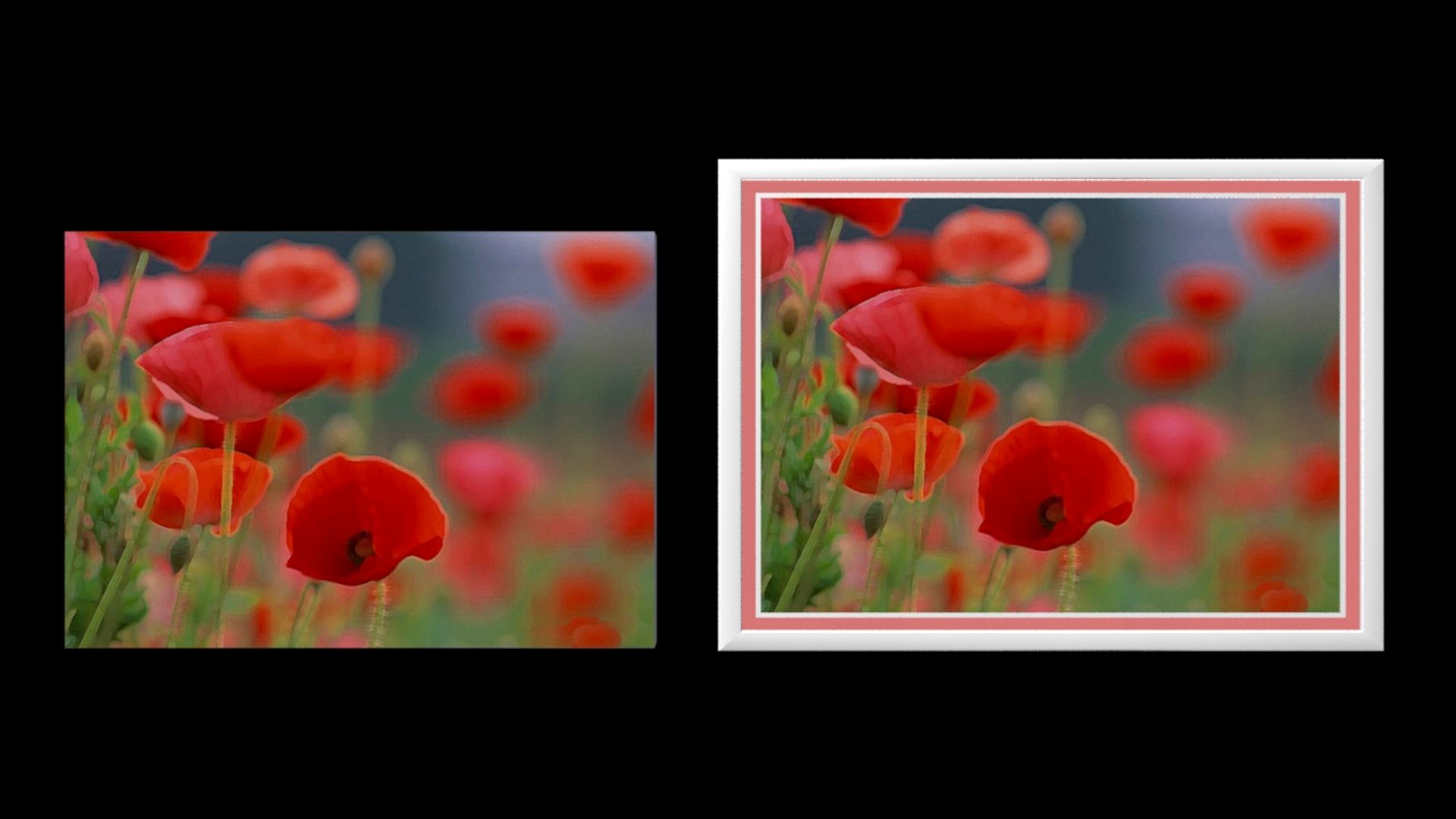 Poster, Red Field