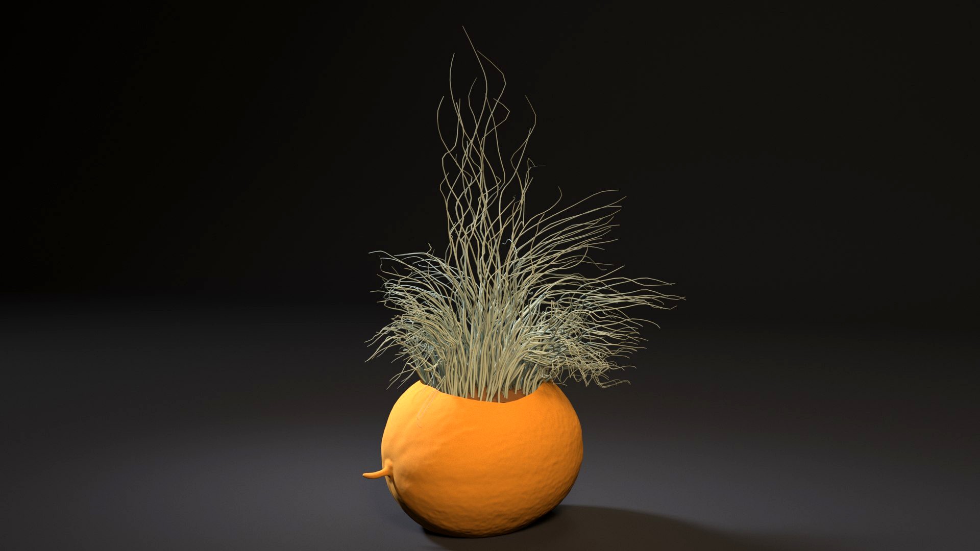 melon planter