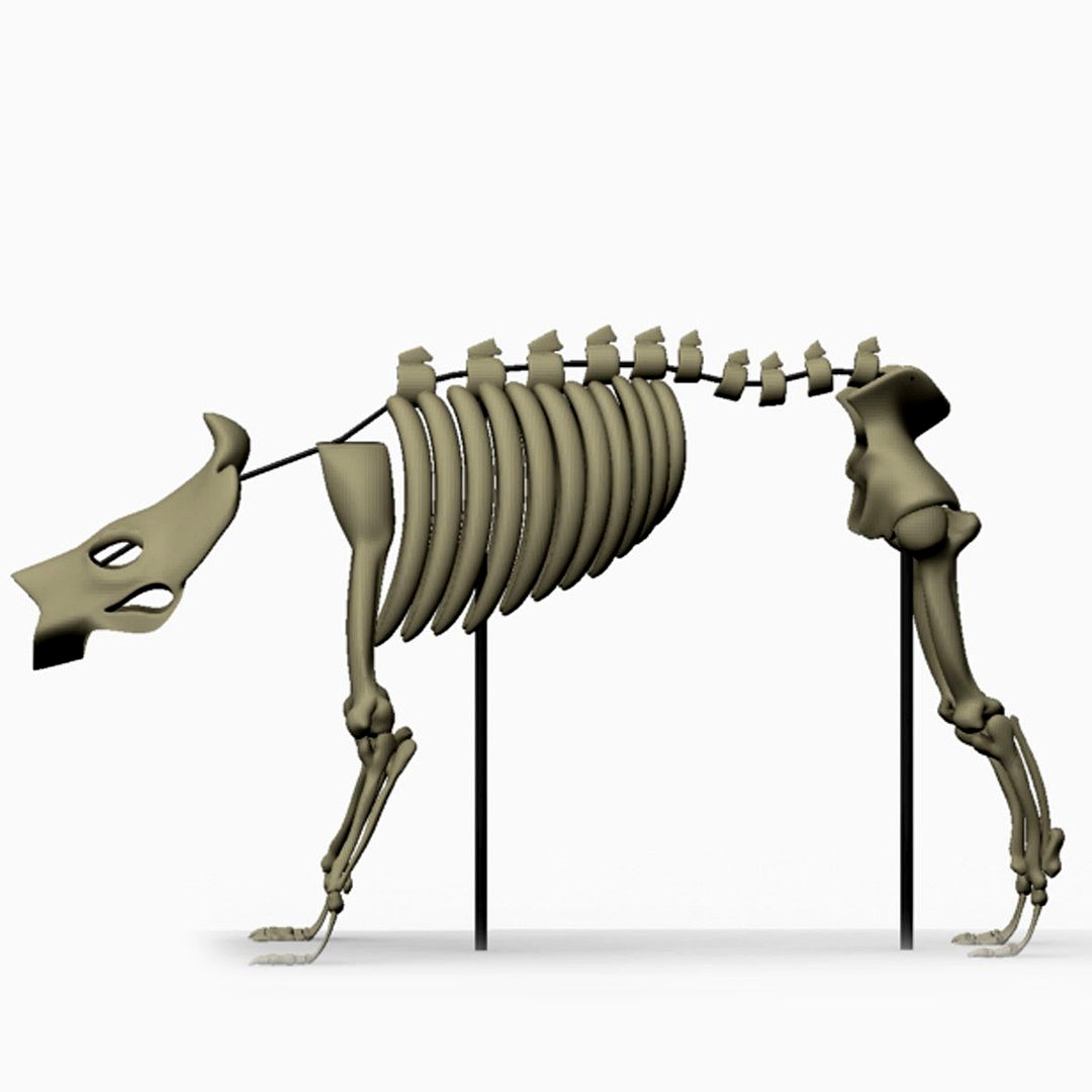 Beast Skeleton