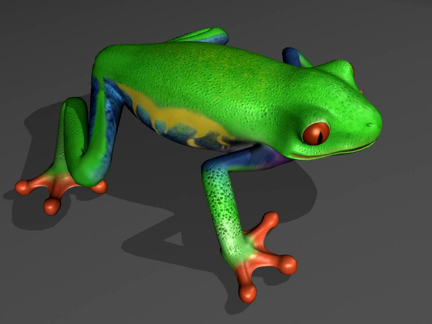 Tree frog