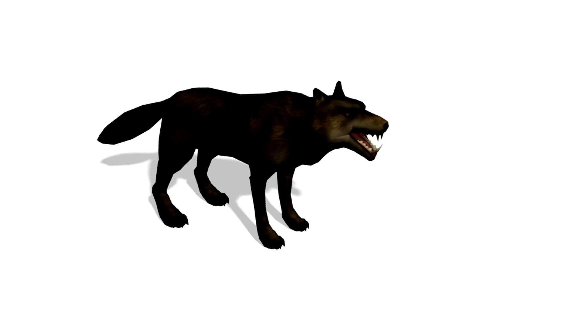 Wolf