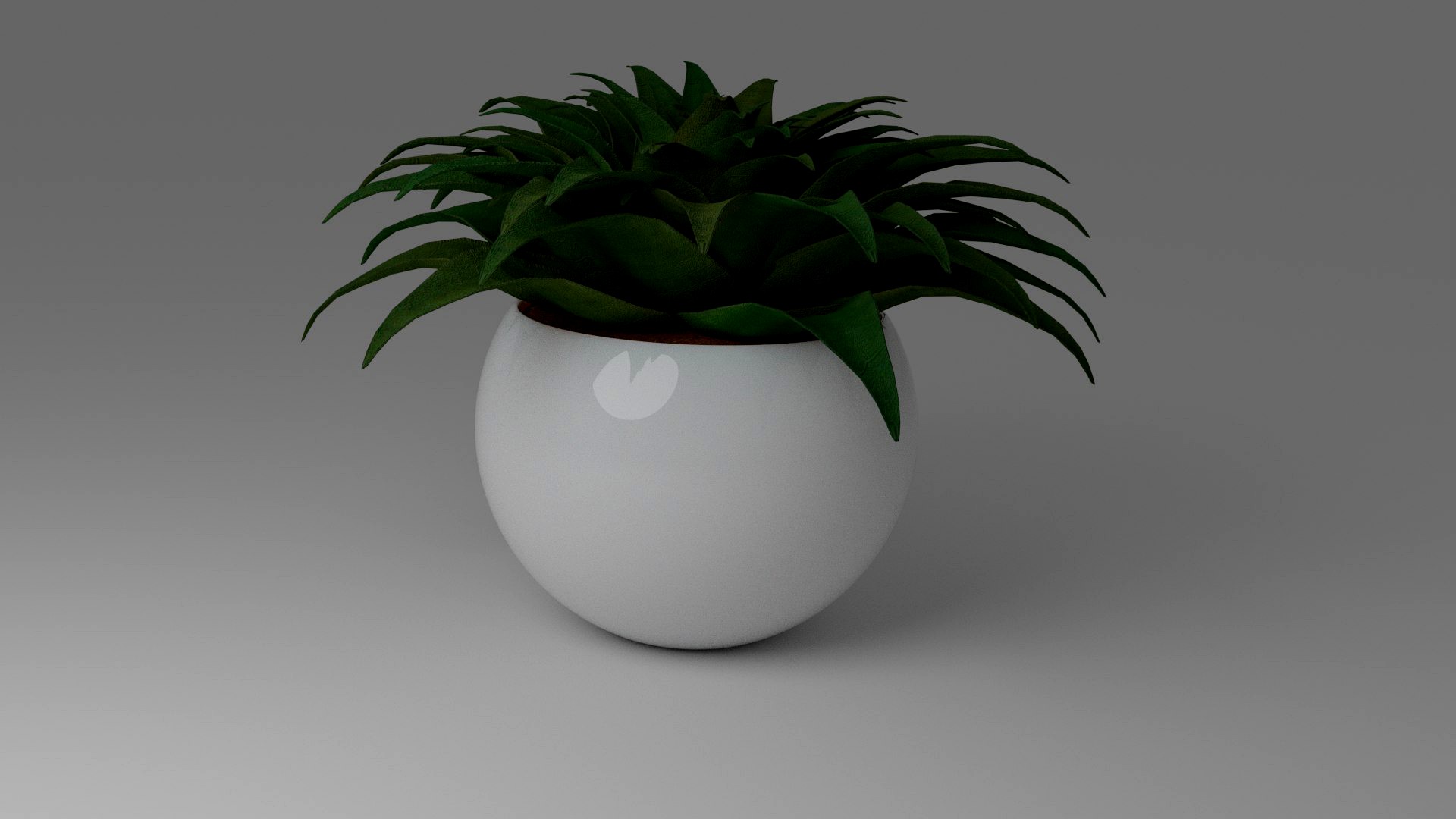 Bush