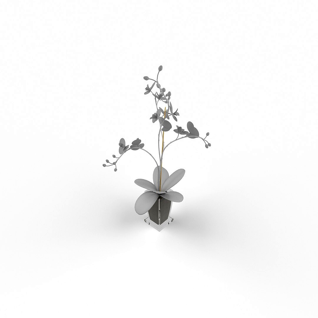 Decorative Plant `141208`5A