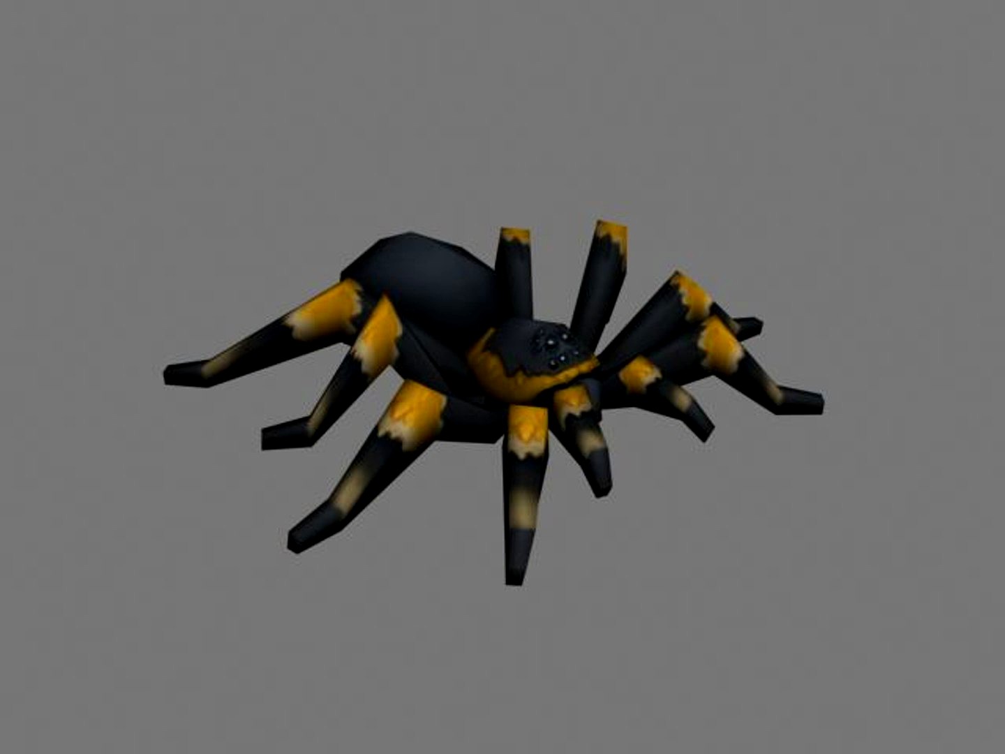 Spider