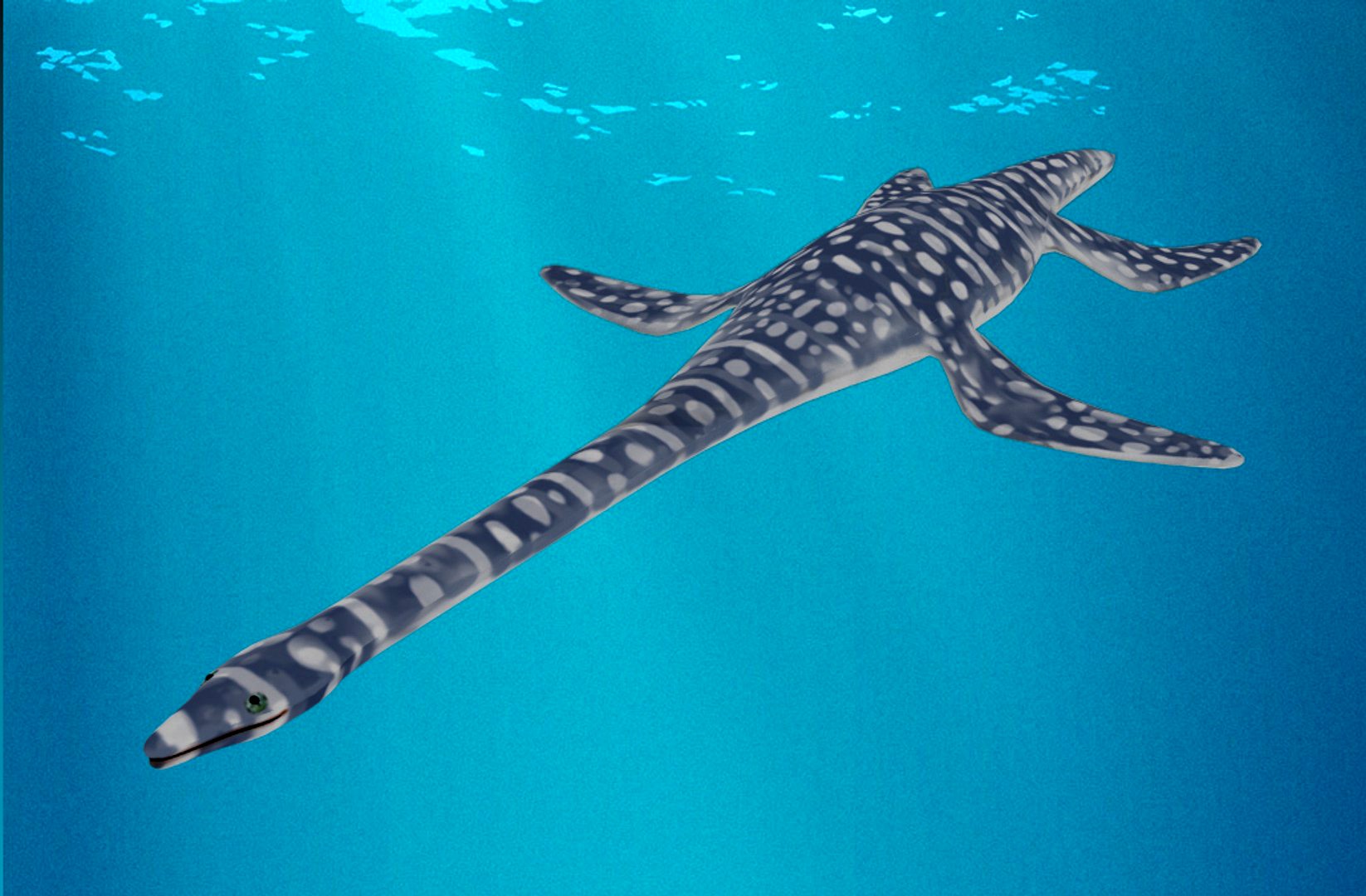 Plesiosaurus